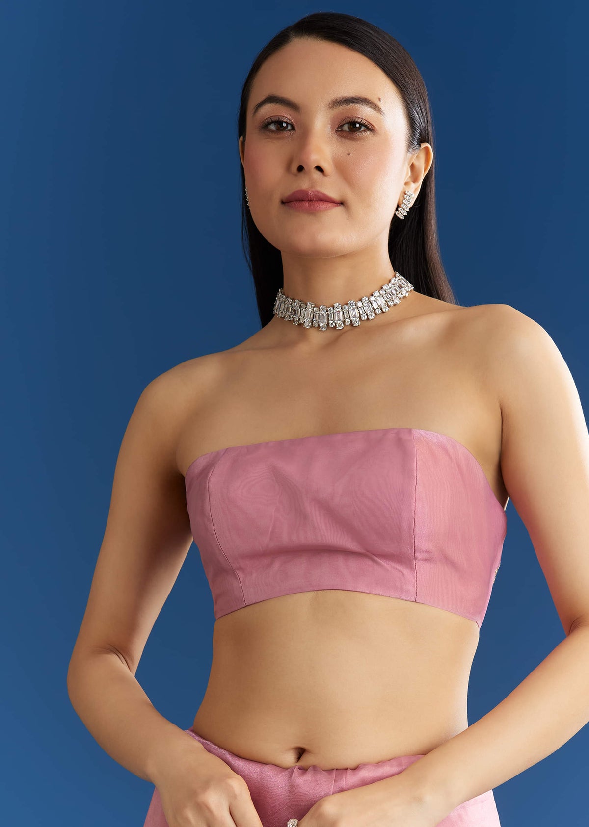 pink-organza-tissue-saree-with-beaded-scallop-border-sg284820-7_3296402e-9d9e-4969-bfbf-79e0630e7626.jpg