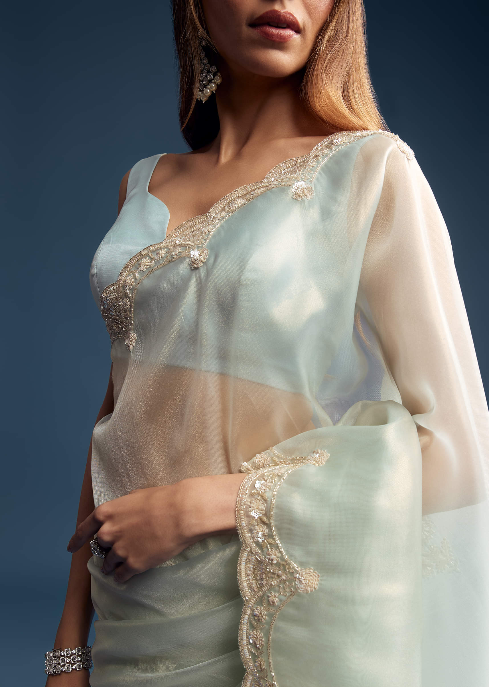 powder-blue-tissue-saree-with-cutdana-embroidery-sg292562-2.jpg