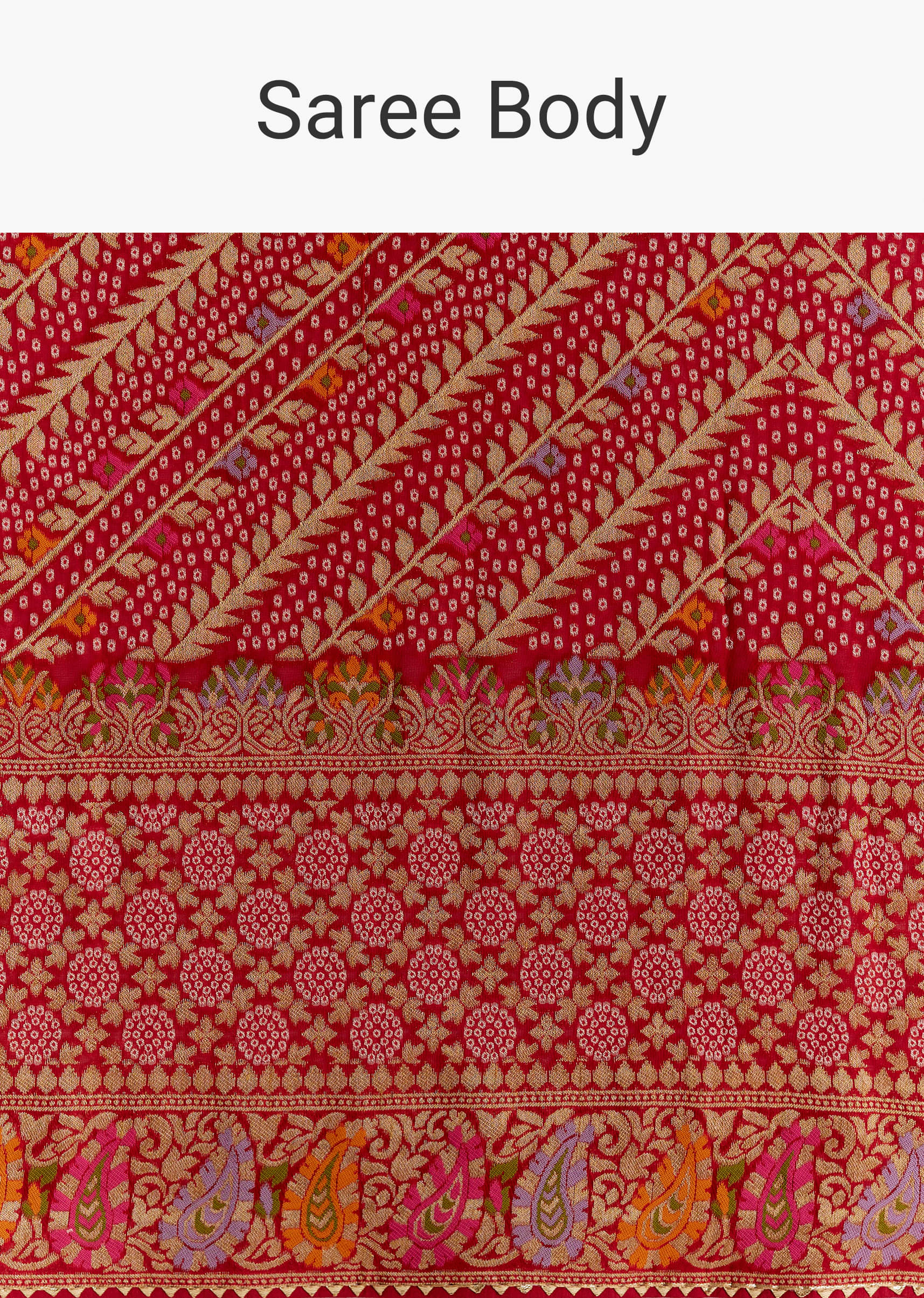 red-dola-silk-handloom-banarasi-brocade-saree-with-floral-jaal-sg351909-9.jpg