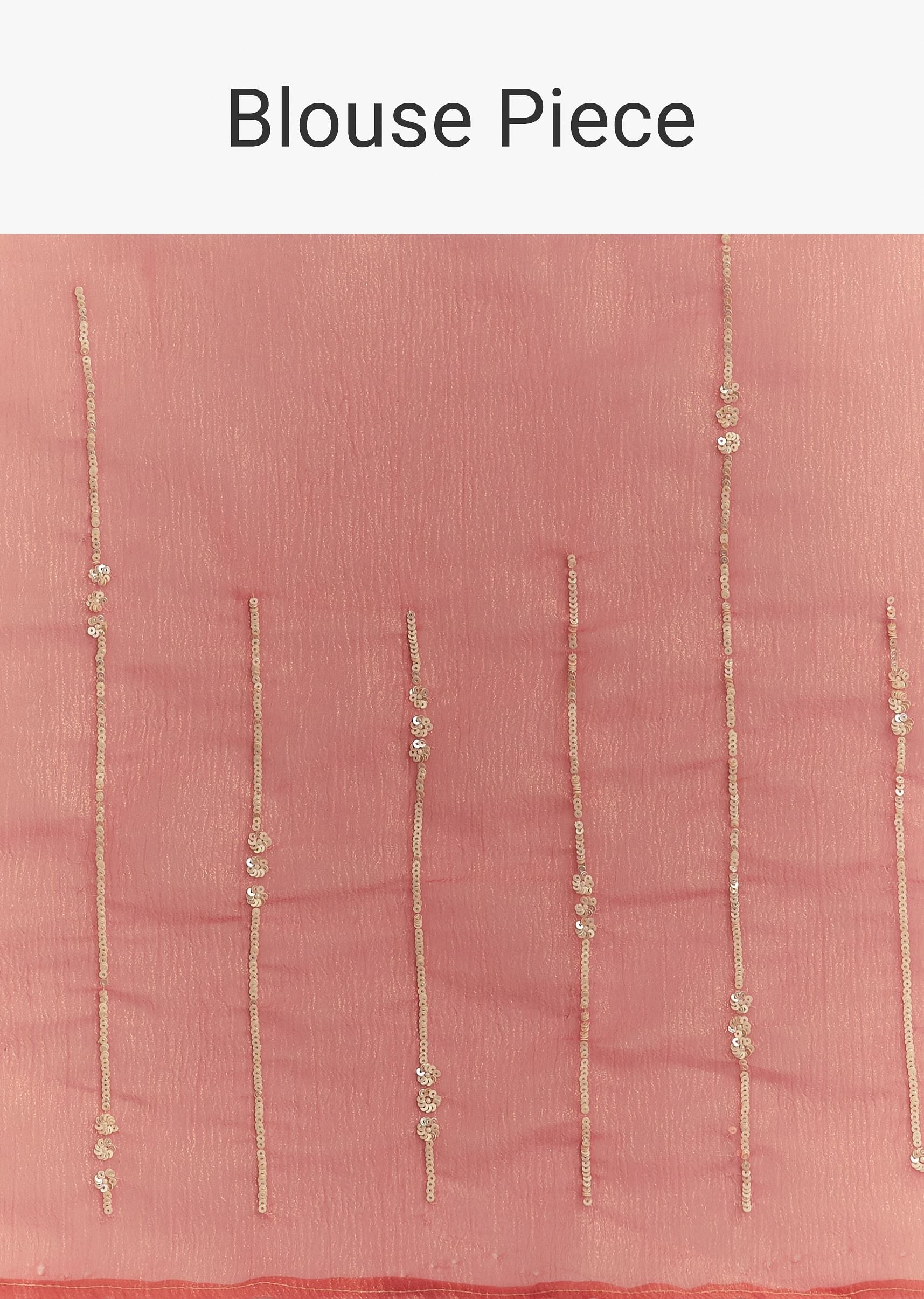 rush-peach-crushed-tissue-saree-with-scallop-embroidered-bor-sg294614-10_b1844398-5269-4b5c-b4ec-1957328e2cab.jpg
