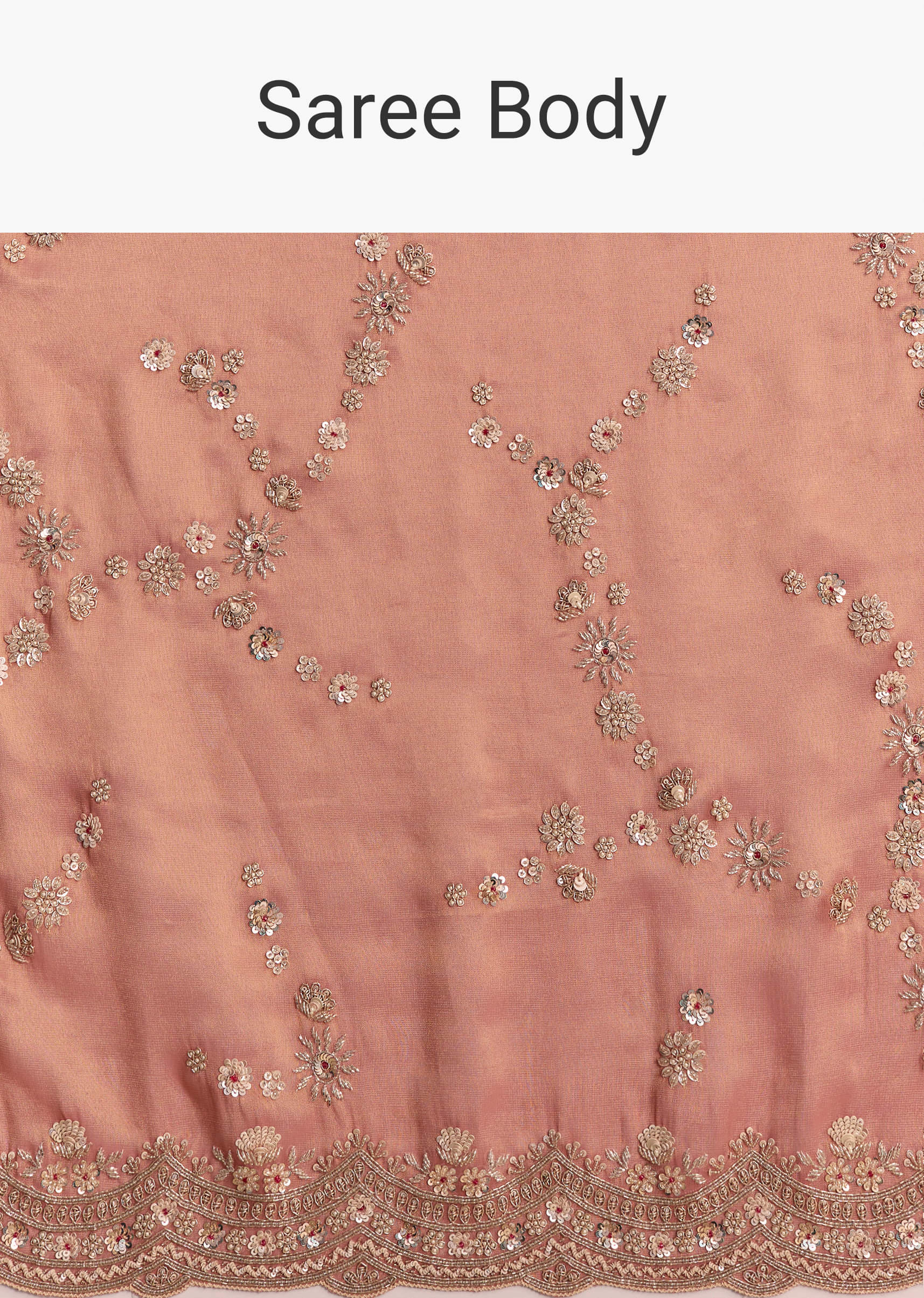 rust-tissue-embroidered-saree-with-cutdana-and-stone-work-sg338825-9.jpg