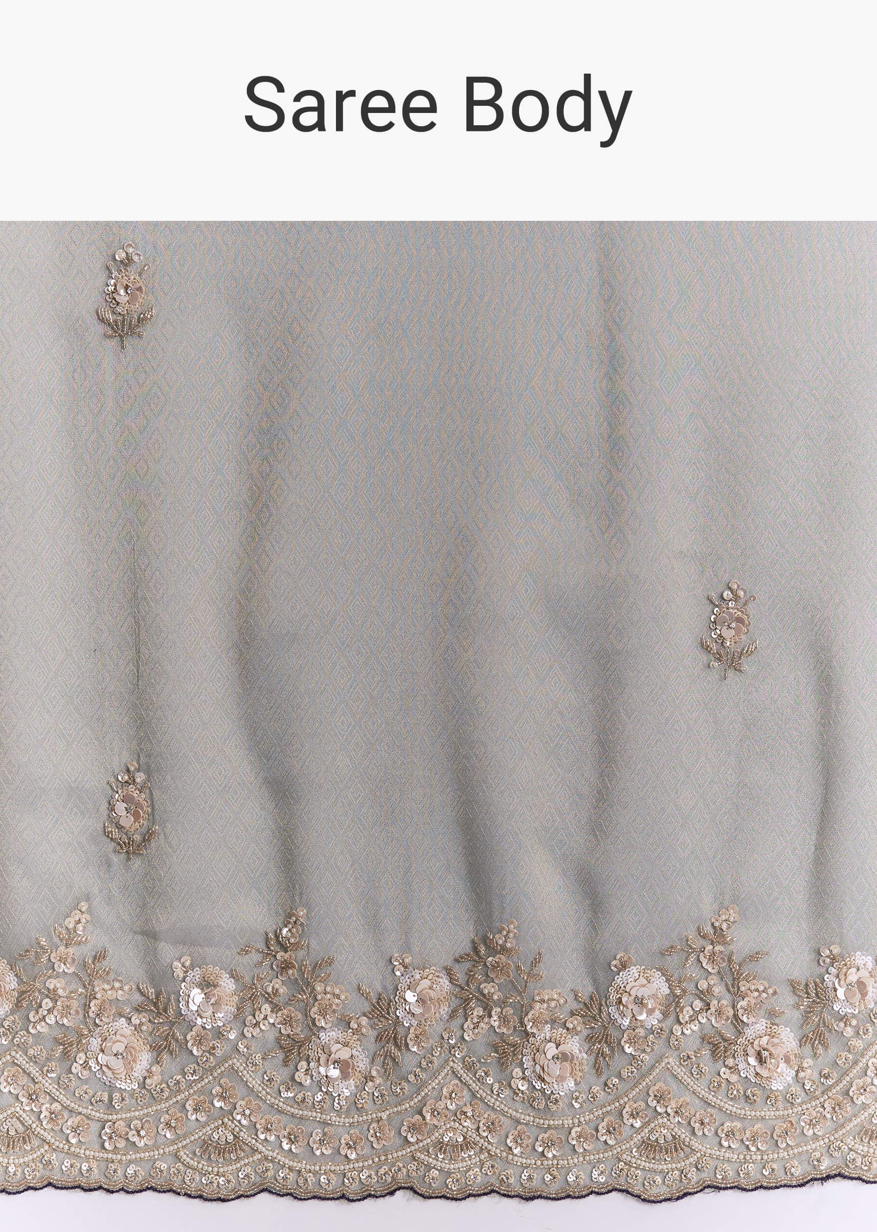 sea-green-tissue-embroidered-saree-with-floral-buttis-sg338664-9.jpg