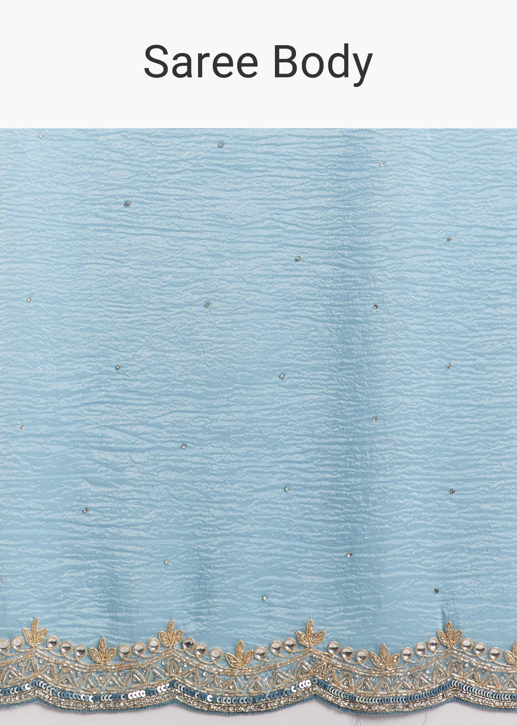 sky-blue-tissue-saree-with-scallop-border-embroidery-sg317863-9.jpg