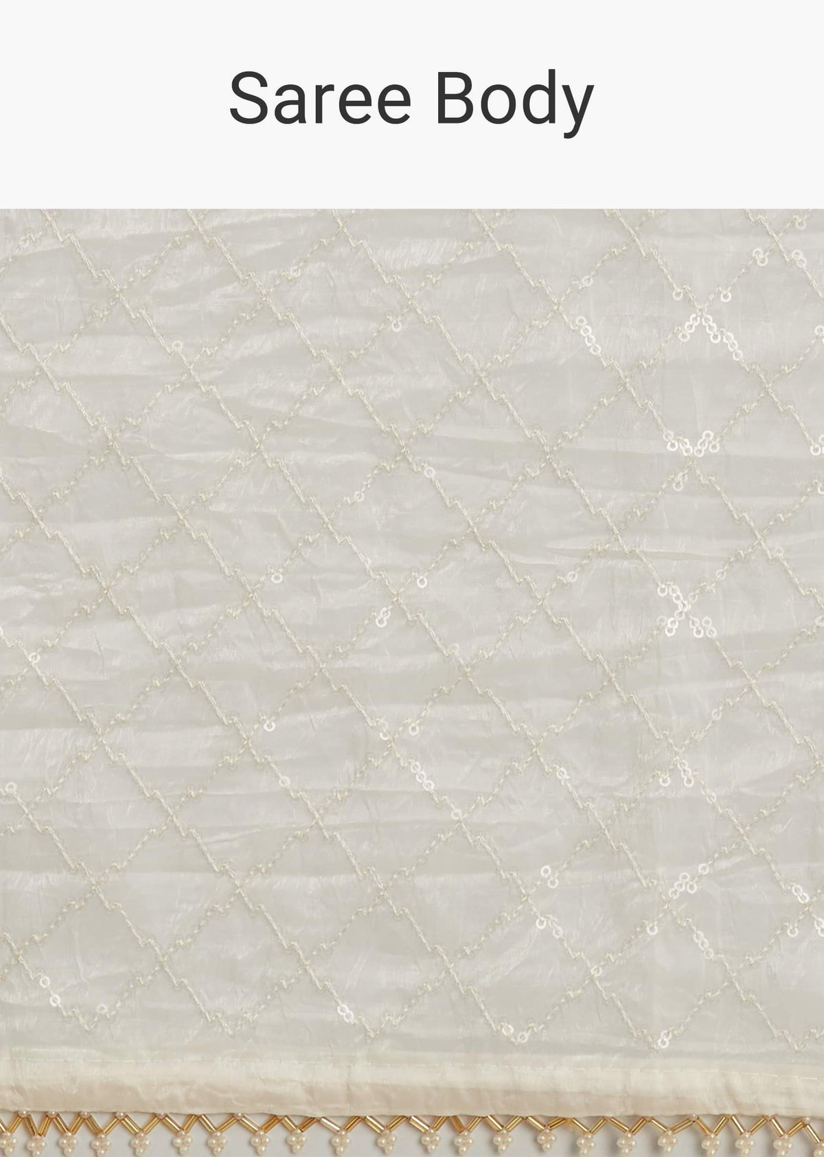 white-glass-tissue-embroidered-saree-with-contrast-blouse-sg293889-9_c82b78aa-a09d-4c5c-bc72-2bc937fa7bb9.jpg