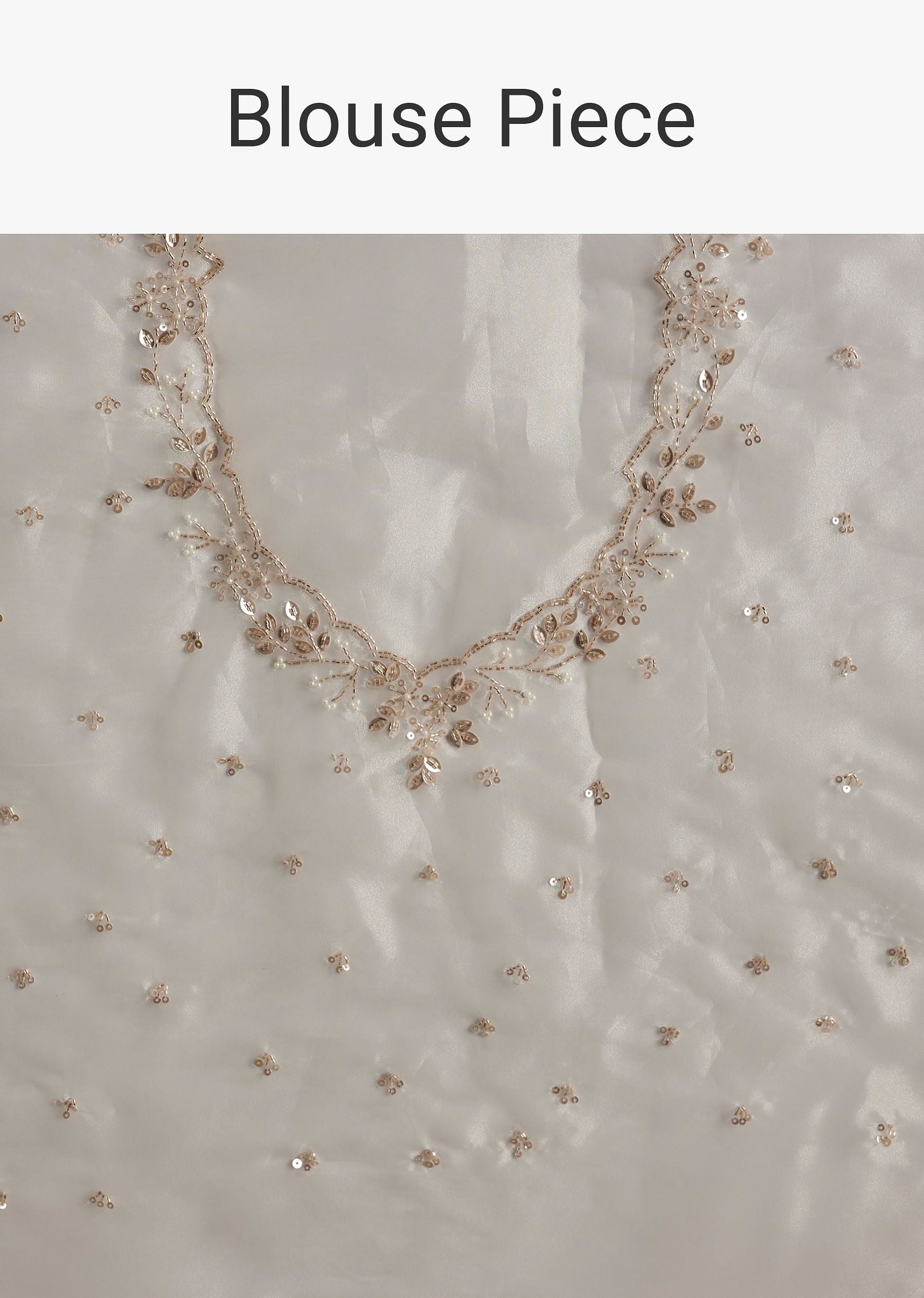 white-tissue-embroidered-saree-with-scallop-border-sg294611-10_9993f588-2840-4241-a9ef-111aa87323bb.jpg