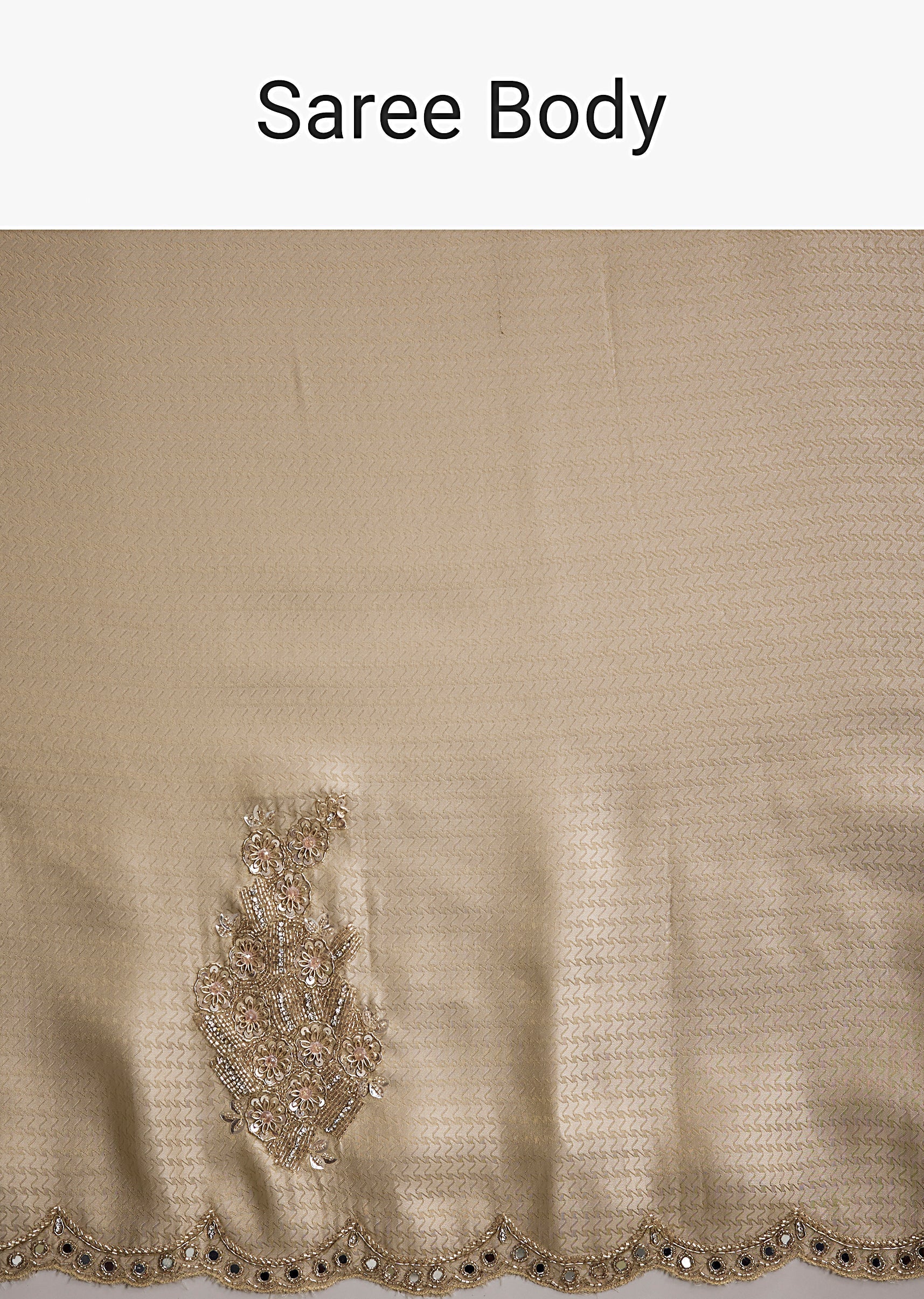 Beige_Jacquard_Saree_With_Zardosi_And_Mirror_Embroidery-sg336713-7_2.jpg