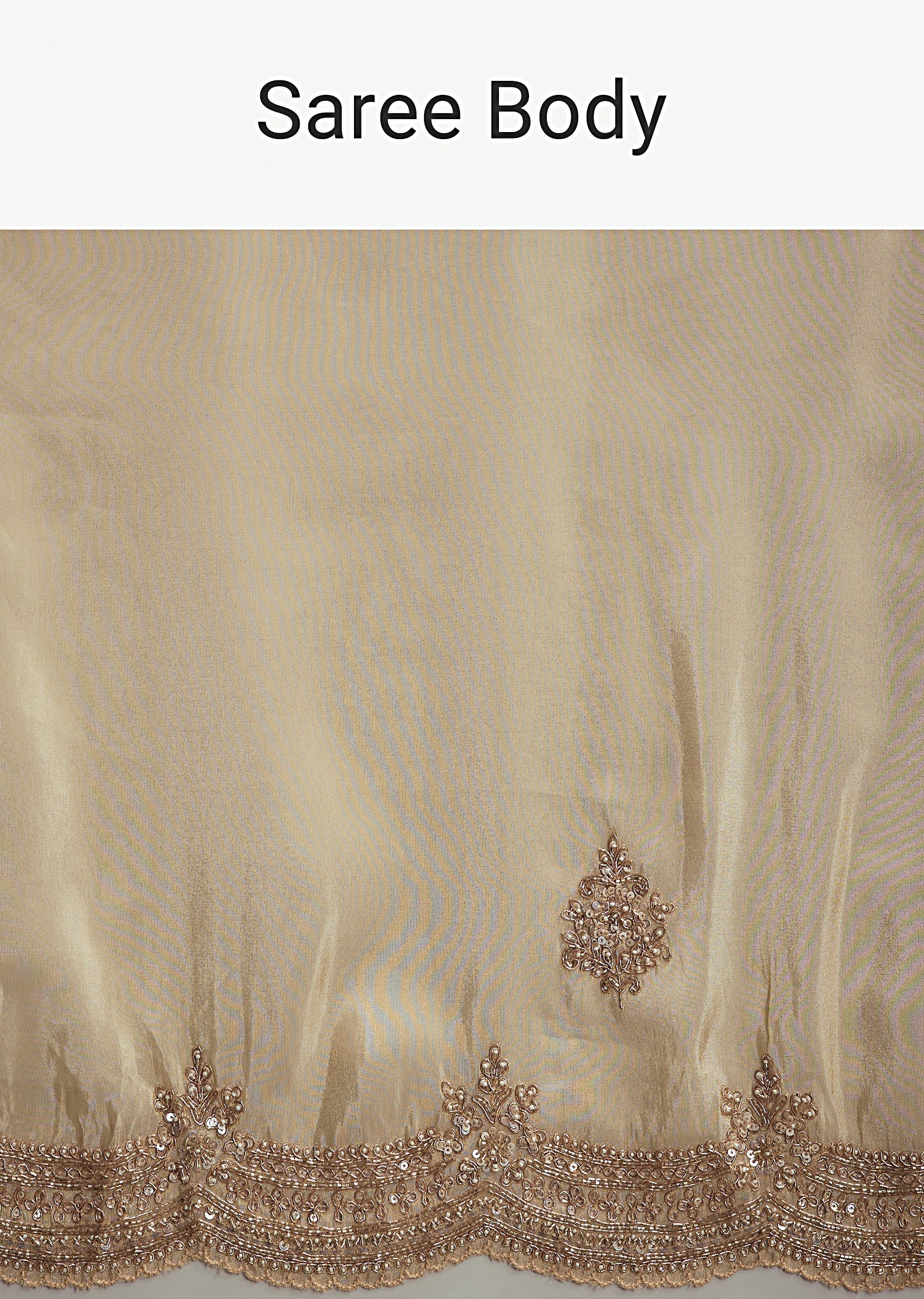 Cream_Tissue_Saree_With_Zardosi_And_Bead_Embroidery-sg319013-7_2.jpg
