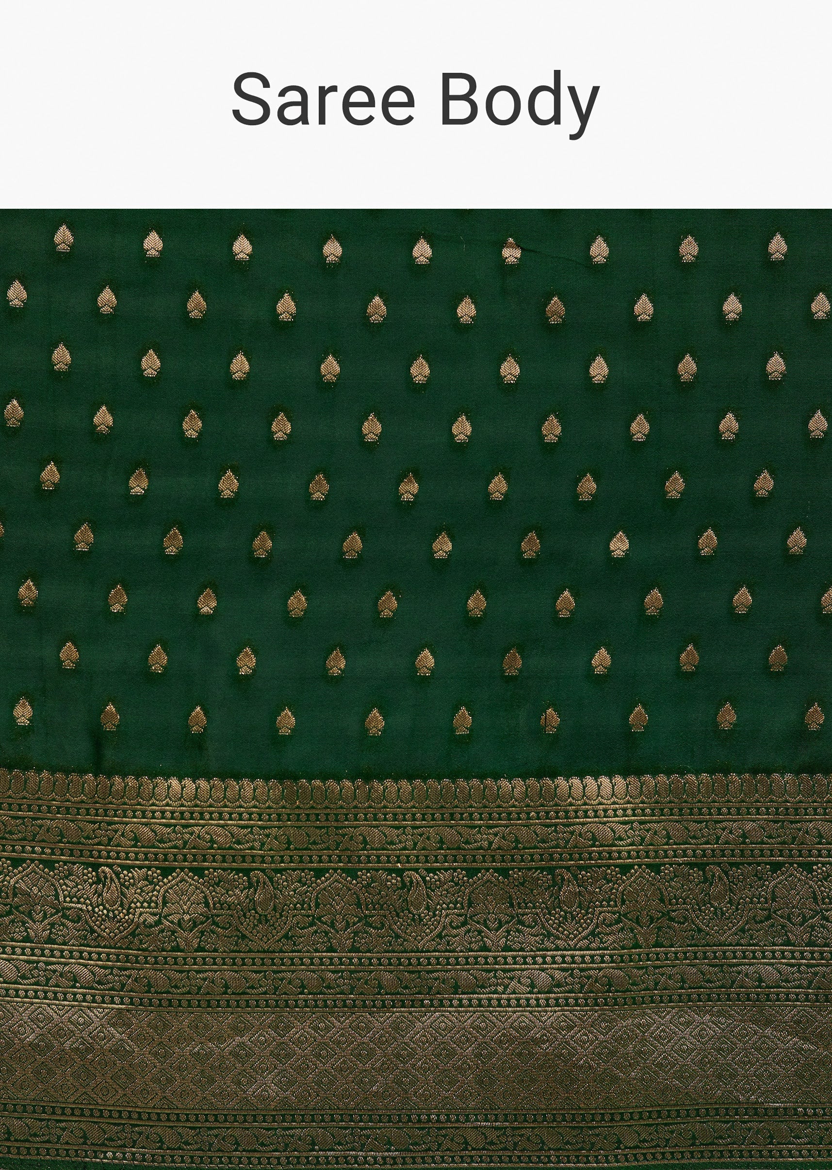 Dark_Green_Tissue_Silk_Saree_With_Zari_Border_Butti-SG276483_9.jpg