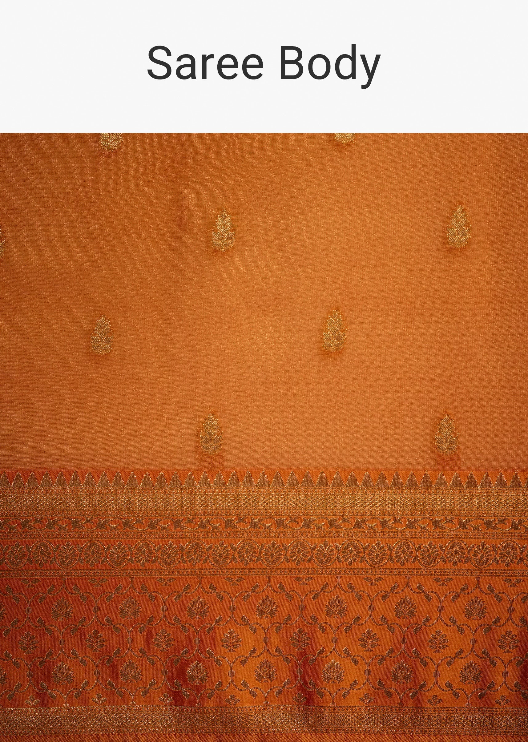 Orange_Tissue_Silk_Saree_With_Zari_Border-SG276492_2__Nasto_f8fd9a13-78c3-495c-835e-6313df489bef.jpg