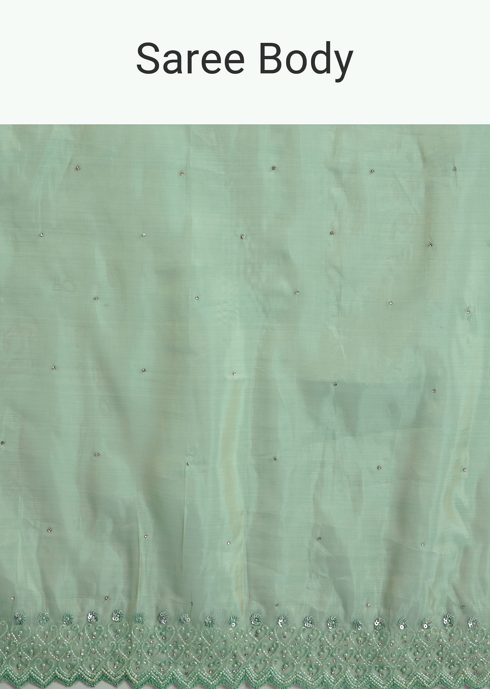 aqua-green-organza-saree-with-stones-beads-and-sequins-embroidery-and-scallop-border-sg293137-9_b9dff804-cdf8-47ea-99c7-cd3c88f78a46.jpg