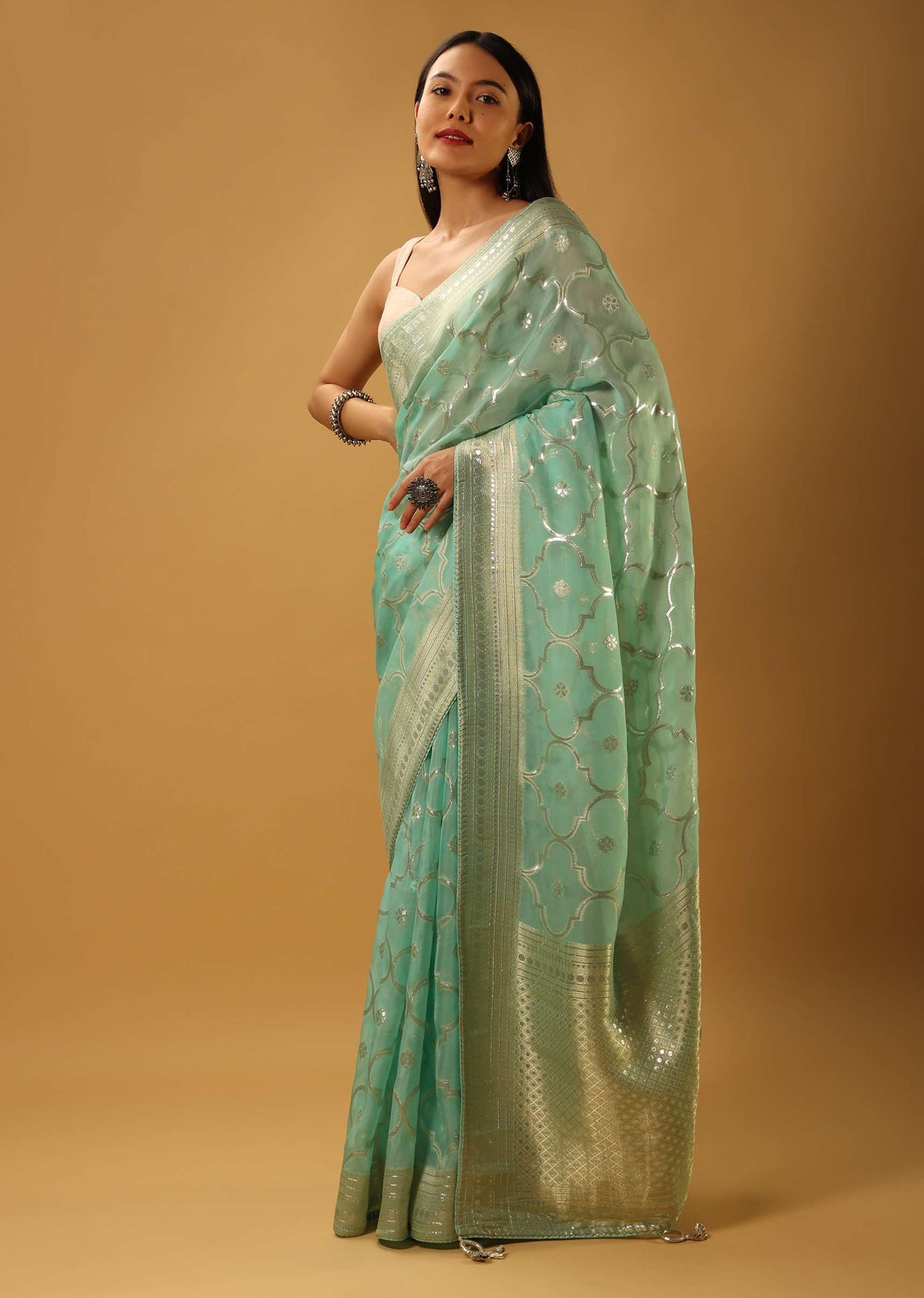 aqua_blue_saree_in_organza_with_woven_moroccan_jaal-j004pf1161y-sg81102-2-1_3_c88d8938-d8b4-479f-9262-90d979ddaf97.jpg