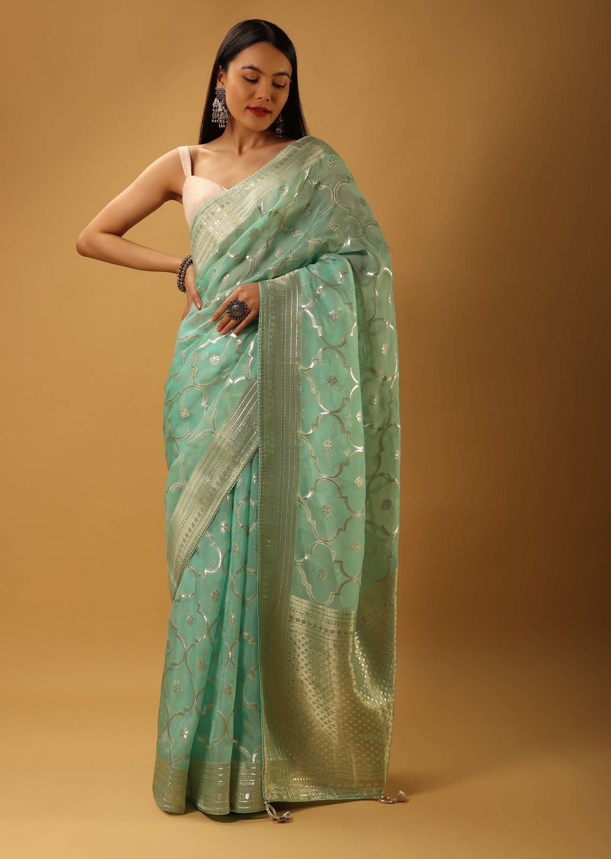 aqua_blue_saree_in_organza_with_woven_moroccan_jaal-j004pf1161y-sg81102-2-1_4_ecc87718-d5e1-45ae-84aa-2fc84518f0ae.jpg