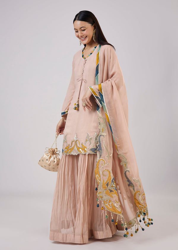 Baby Pink Organza Palazzo Set