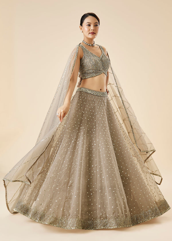 Beige Embroidered Net Lehenga Set With Dupatta