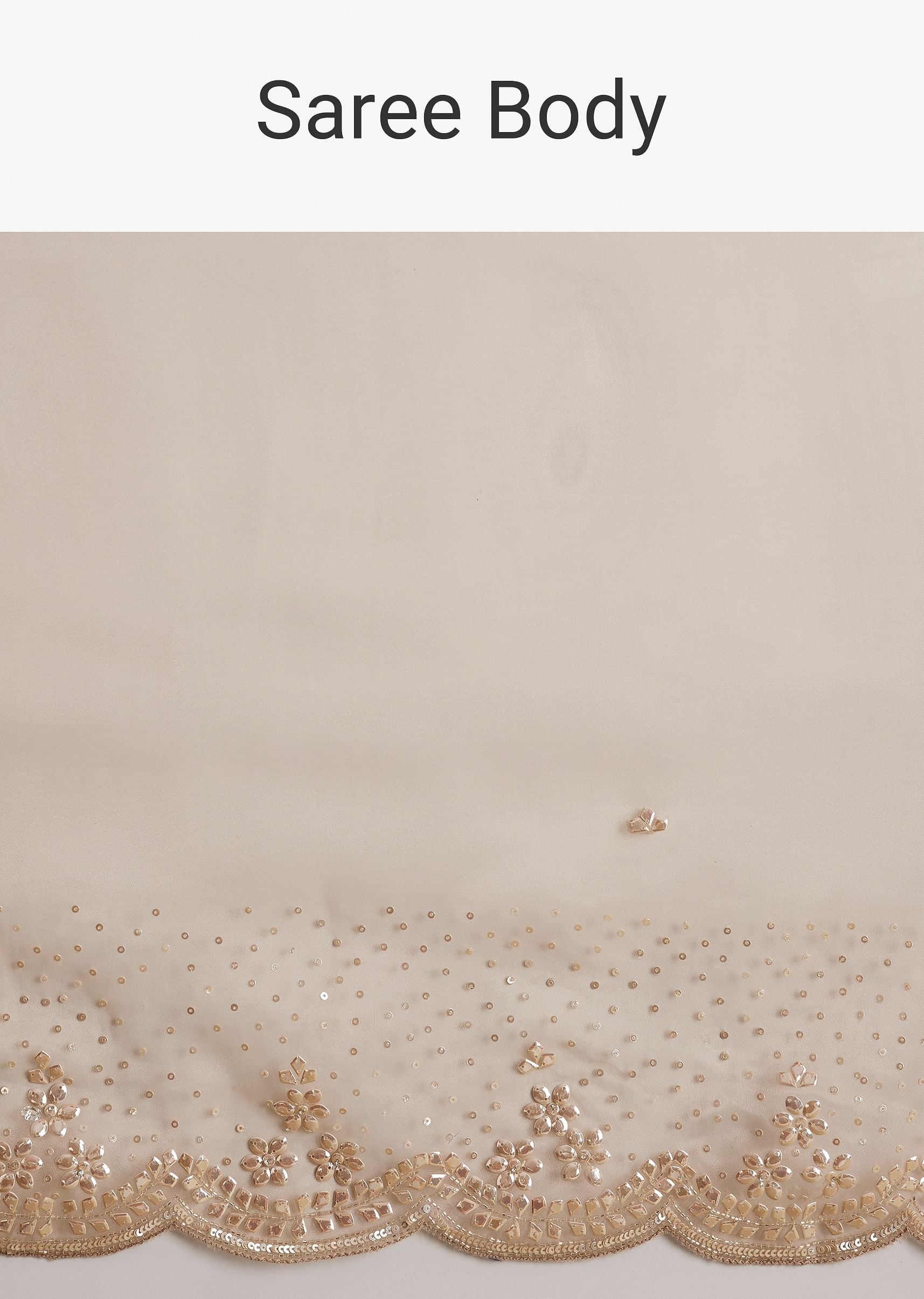 beige-glass-tissue-embroidered-saree-with-scallop-border-sg294645-9_bfee542c-5ad5-44a2-8943-00409862c4ef.jpg
