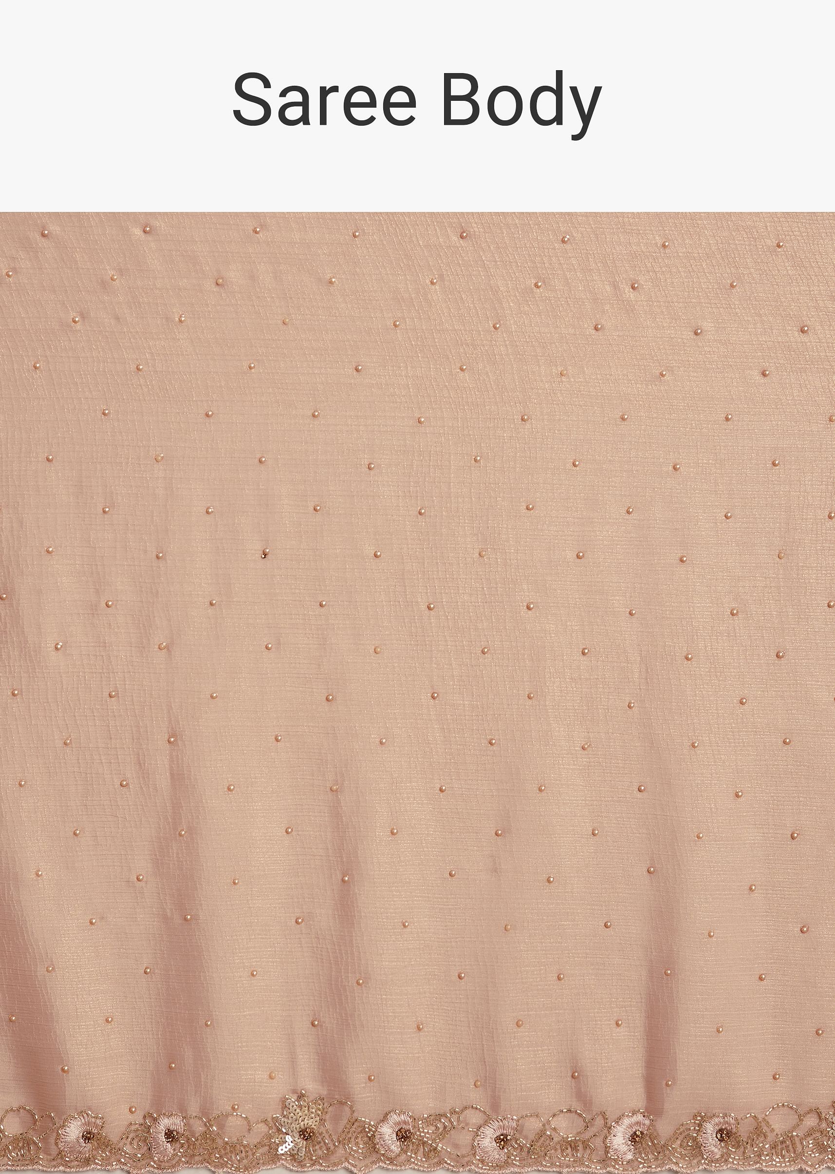 beige-glass-tissue-saree-with-moti-cutdana-and-sequins-embroidery-and-scallop-border-sg294574-10_dc7384e7-e5ca-4cf1-81c8-381a19203856.jpg