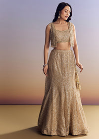 beige-lehenga-set-with-jacket-and-cut-dana-embroidery-sg291627-1_9f27b058-bf08-469d-8cad-cae7c8f1cc46.jpg