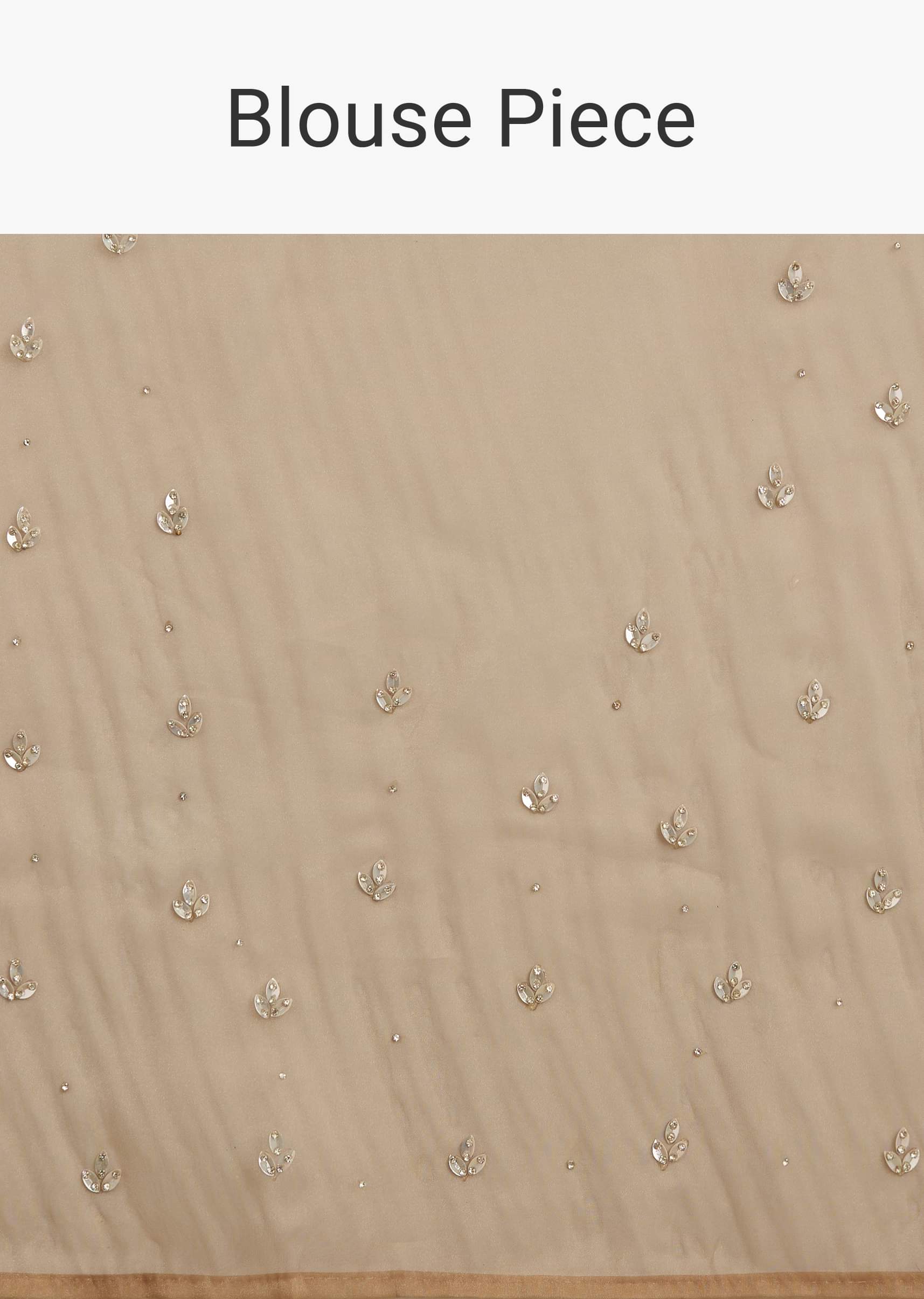 beige-shaded-glass-tissue-saree-with-stone-embellishment-sg296094-10_538f94bd-a9b8-41af-8872-cbd7ad78fdc1.jpg