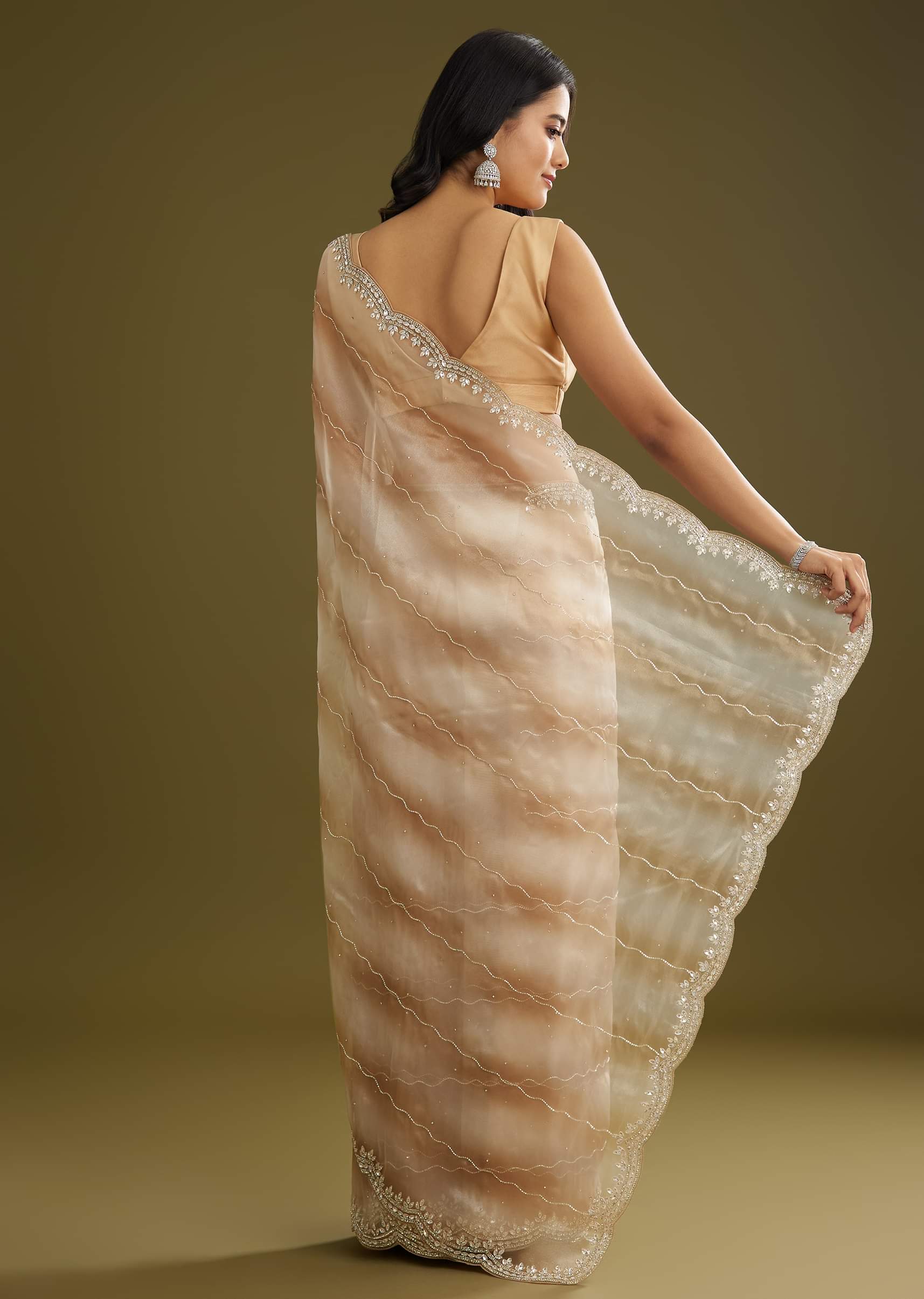 beige-shaded-glass-tissue-saree-with-stone-embellishment-sg296094-6_fd5abed5-ac1e-4c38-a12c-18472295db9f.jpg