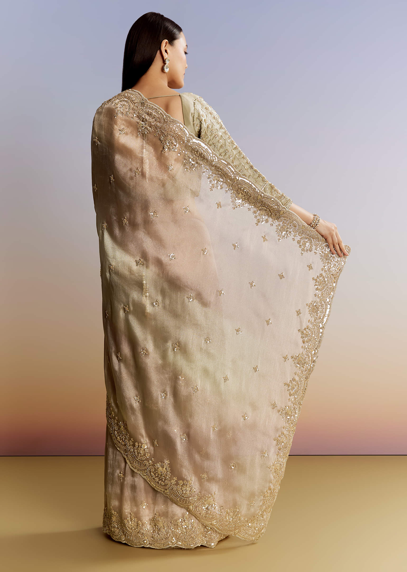 beige-shaded-tissue-saree-with-sequins-beads-and-cutdana-sg319832-4_bc7f485d-eed5-409b-8180-1f0efe88c42c.jpg