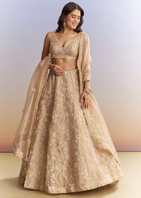 beige-tissue-bridesmaid-lehenga-with-heavy-embroidery-sg284650-6.jpg