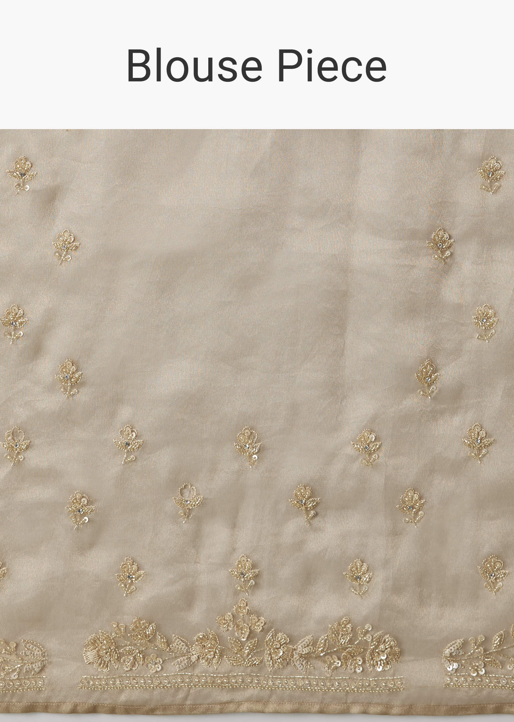 beige-tissue-saree-with-embroidered-brocade-blouse-sg300072-10_2fe1430a-4263-4c7f-be96-e0ea84fb6538.jpg