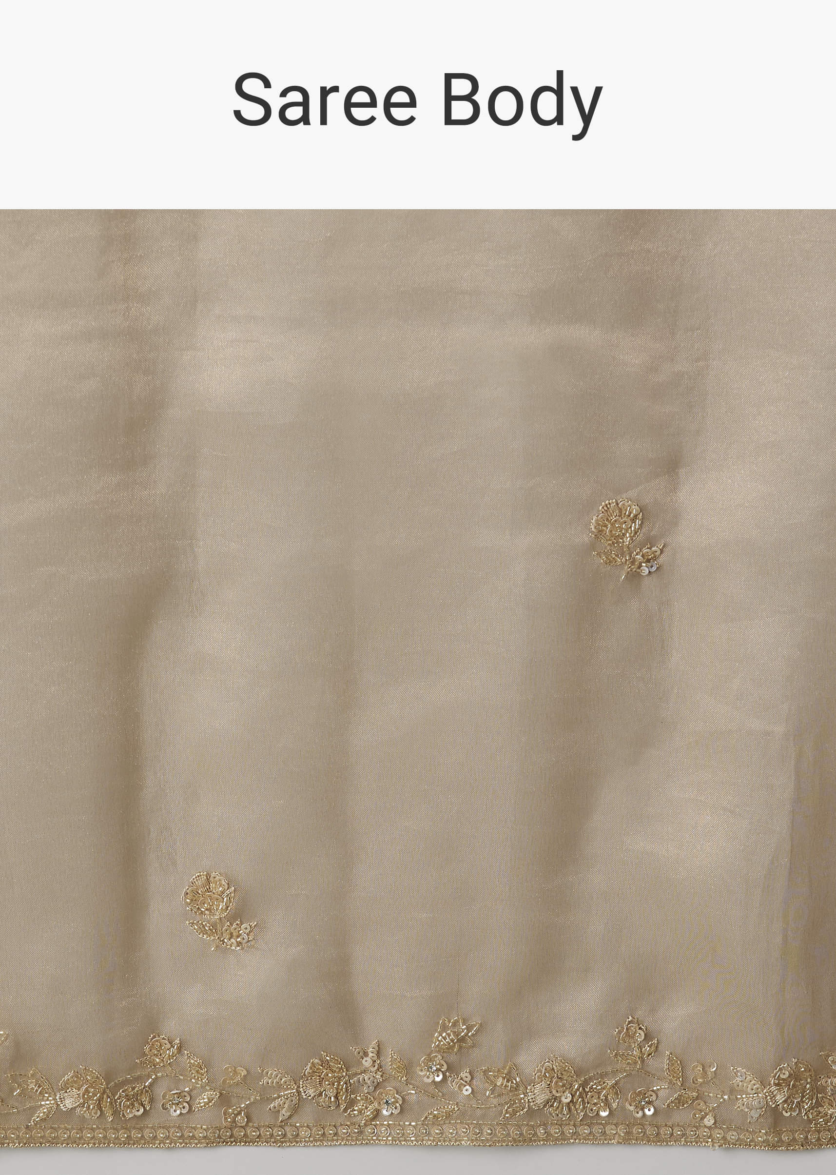 beige-tissue-saree-with-embroidered-brocade-blouse-sg300072-9_f8559cb4-29bd-487a-a725-95583d466163.jpg