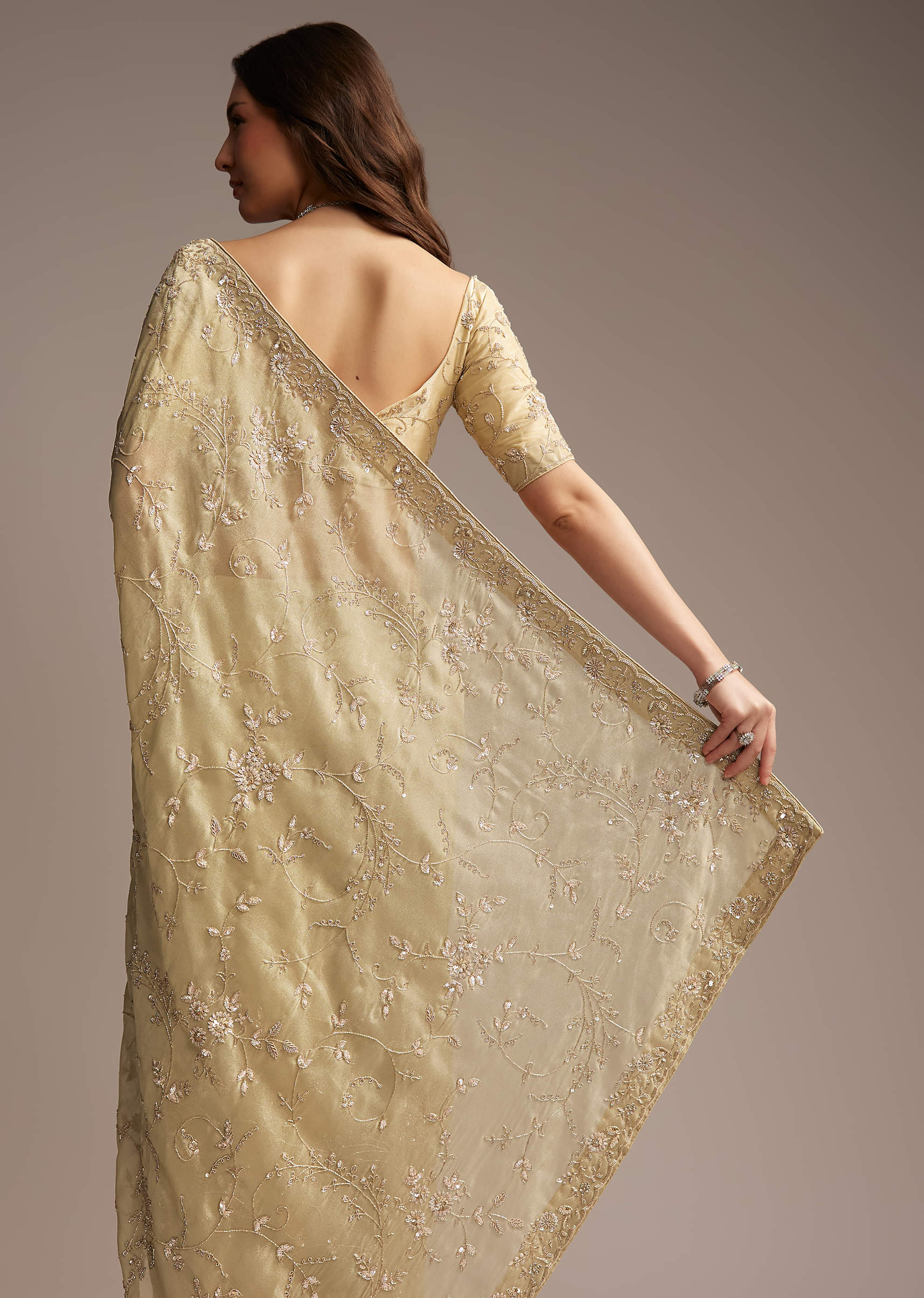 beige-tissue-saree-with-floral-and-cutdana-embroidery-sg317880-4.jpg