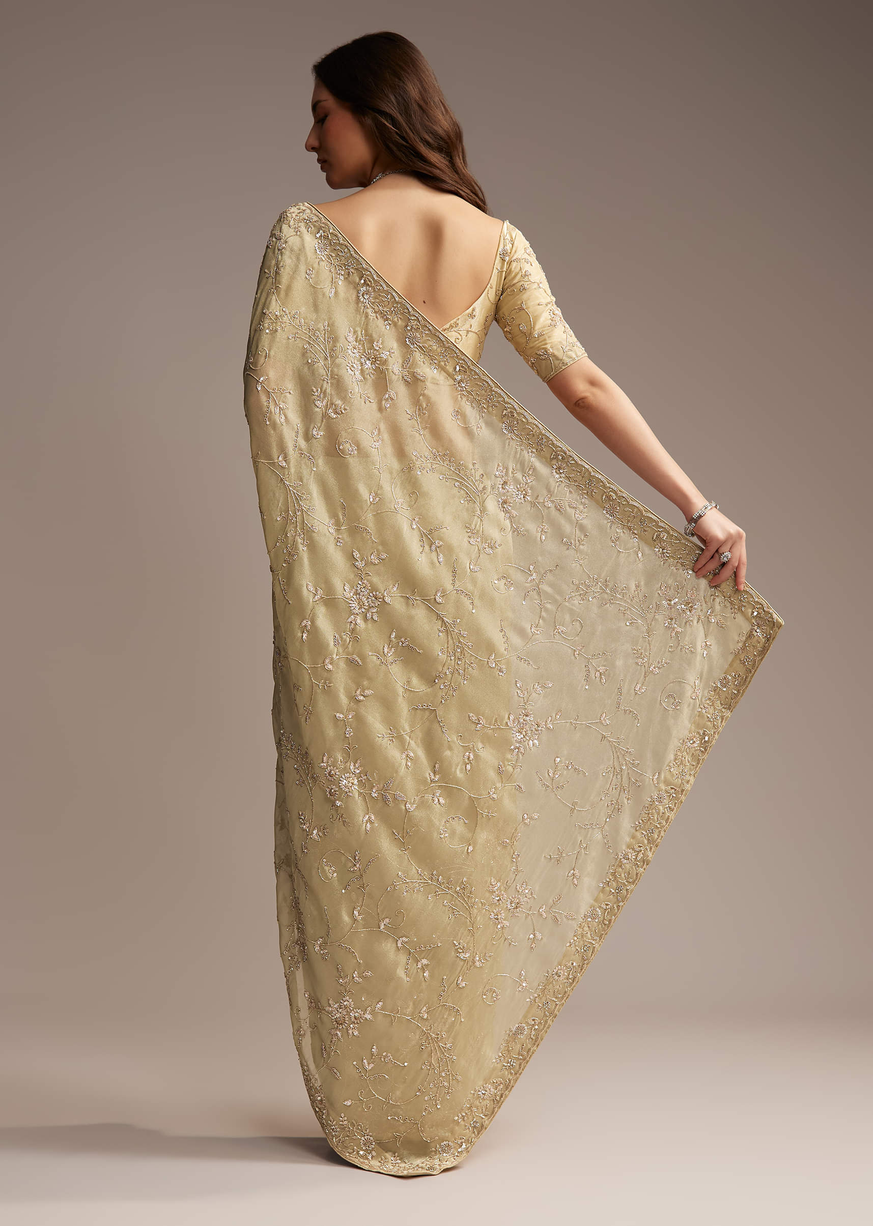 beige-tissue-saree-with-floral-and-cutdana-embroidery-sg317880-6.jpg