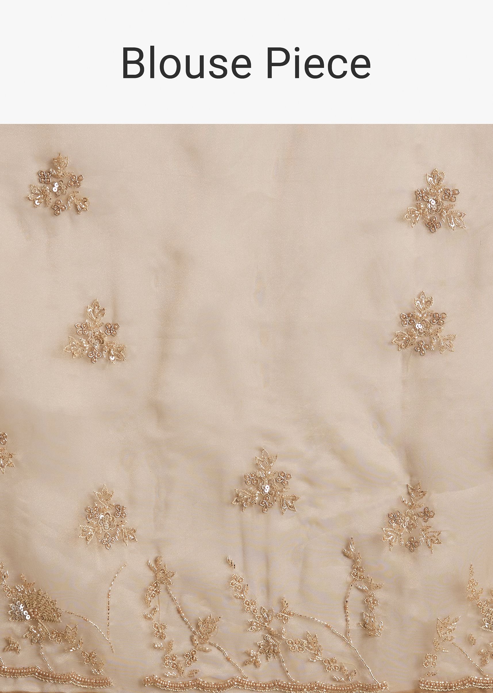 beige-tissue-saree-with-heavy-cutdana-and-beads-embroidery-sg293910-10_dfee59a5-2794-4d3f-a407-9e0b3c5364b3.jpg