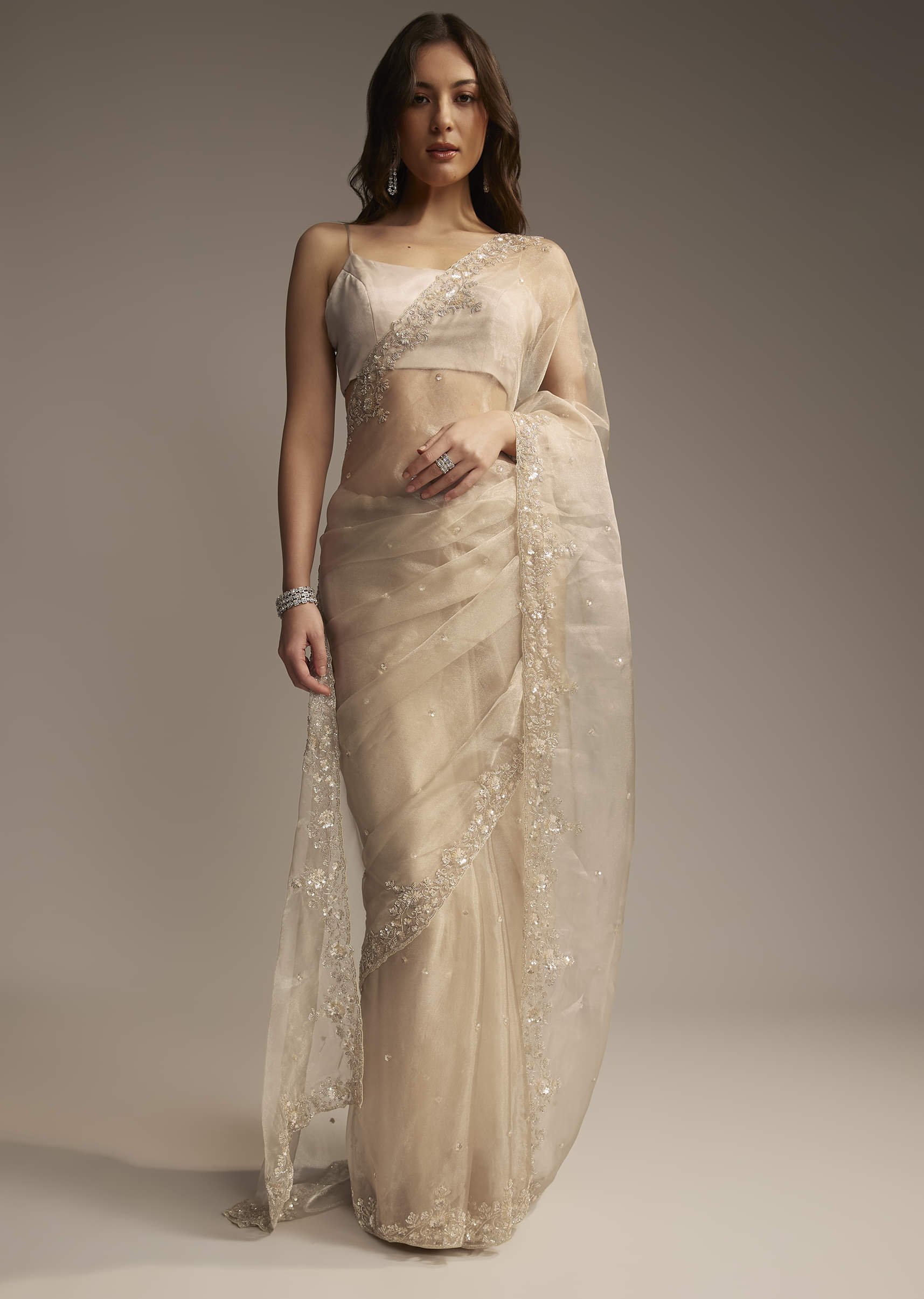 beige-tissue-saree-with-sequin-cutdana-embroidery-sg325655-1_519cec15-98f5-402b-bb4d-28628409981e.jpg