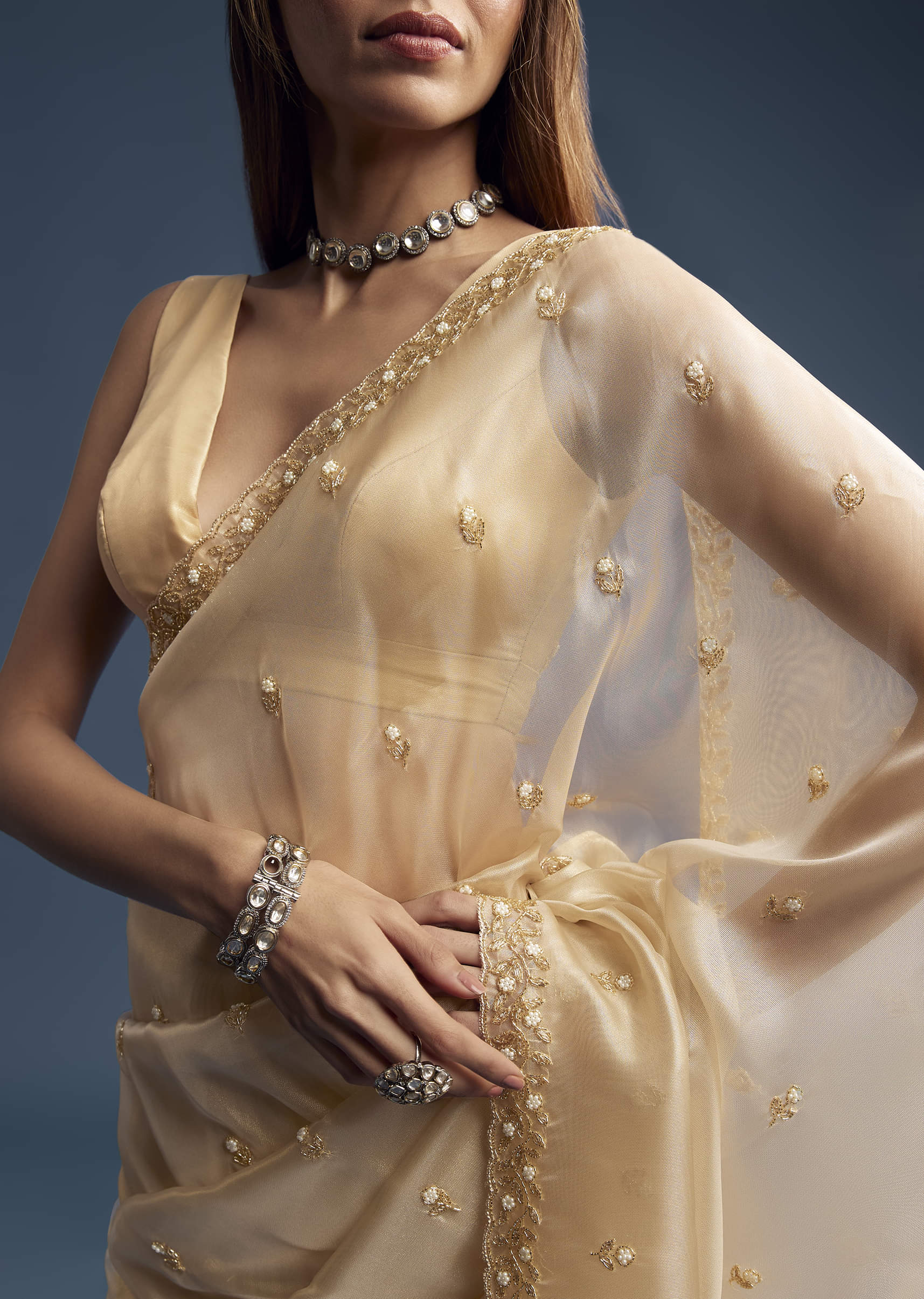 beige-tissue-saree-with-vine-and-floral-embroidery-sg319453-2.jpg
