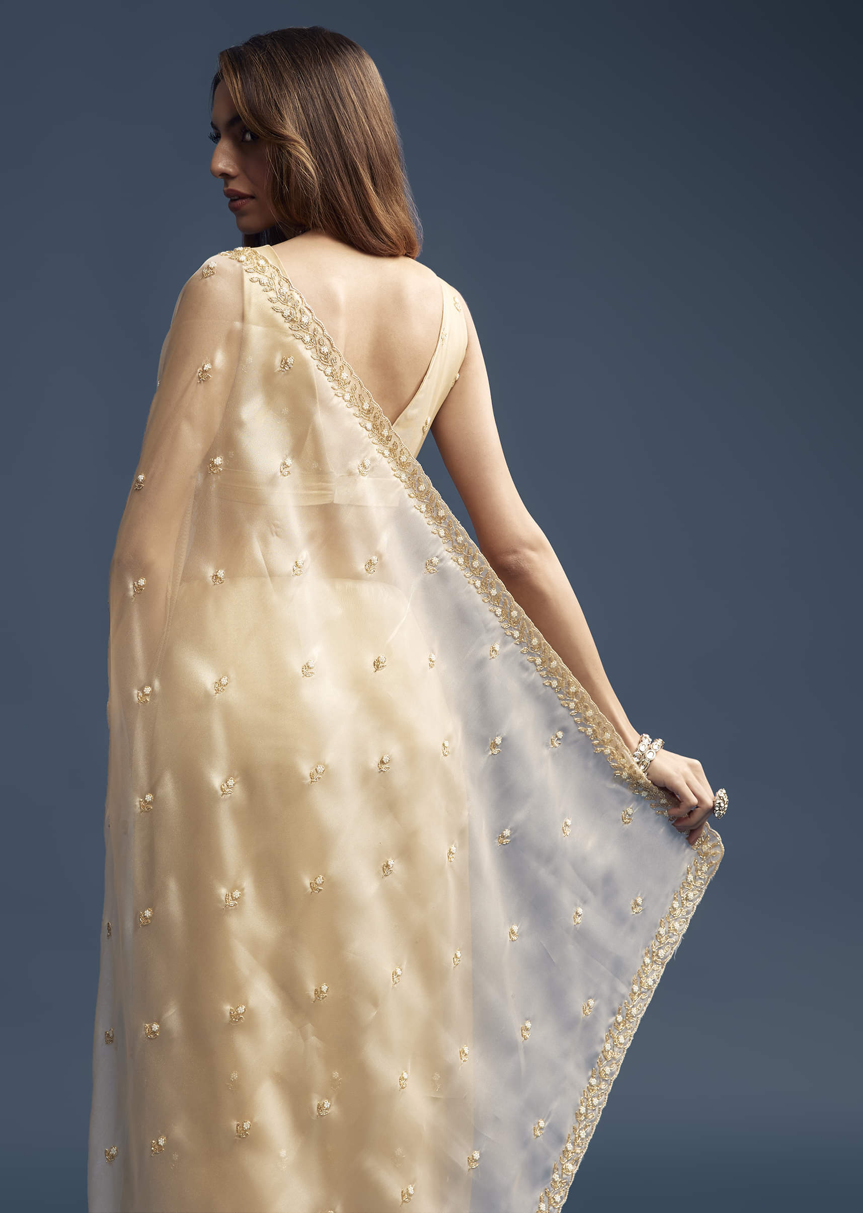 beige-tissue-saree-with-vine-and-floral-embroidery-sg319453-4.jpg