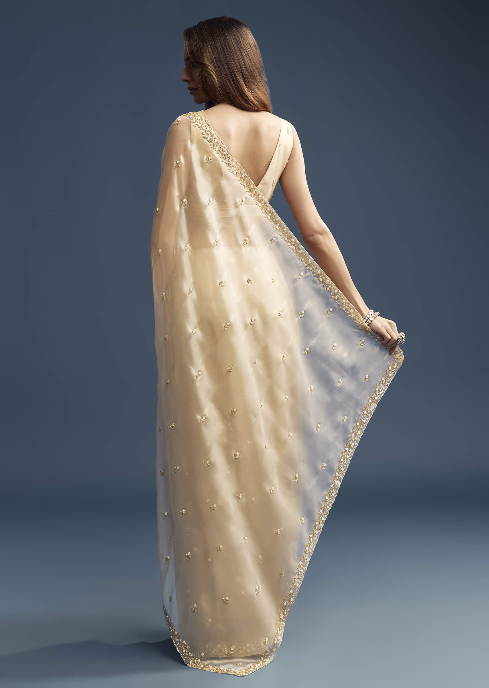 beige-tissue-saree-with-vine-and-floral-embroidery-sg319453-6.jpg