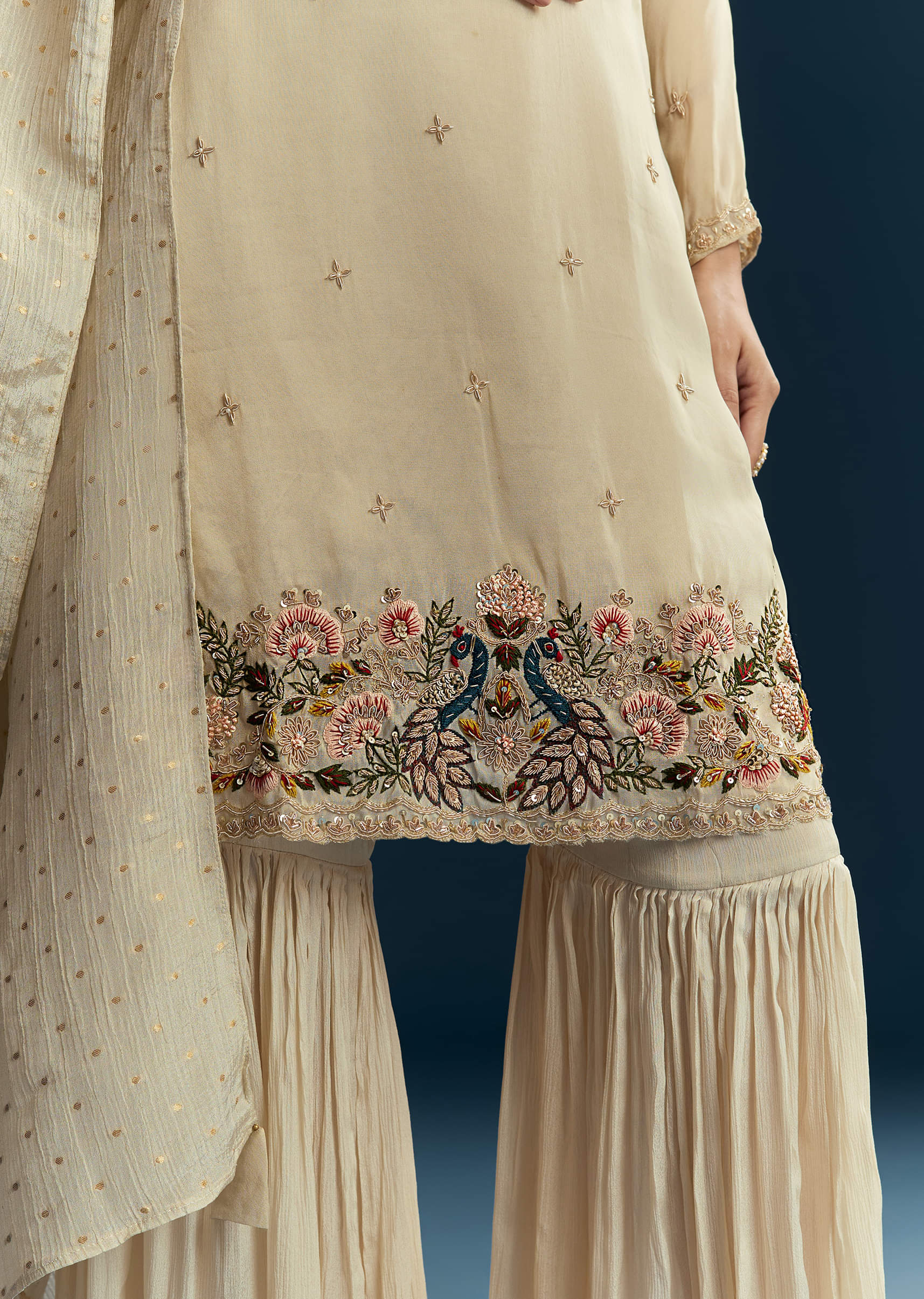 beige-tissue-sharara-suit-with-zardosi-and-thread-work-sg347216-4.jpg