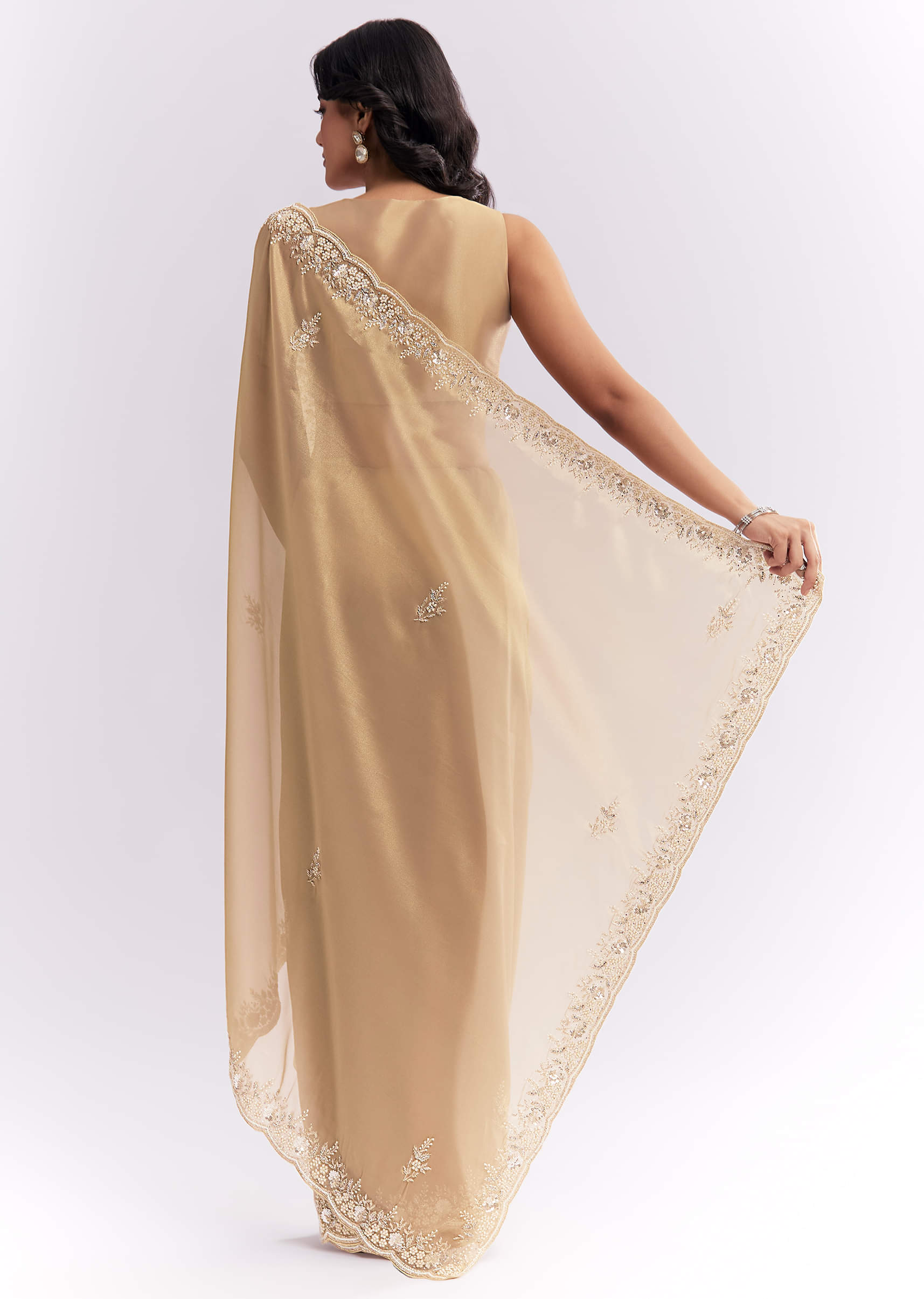 beige-tissue-silk-saree-with-heavy-hand-embroidery-sg338639-4.jpg