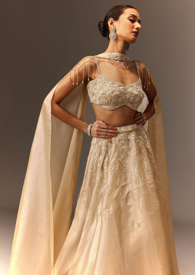 beige_hand_embroidered_blouse_with_skirt_and_choker_dupatta-sg262486_2_a19793d9-1a66-4b4d-bd33-c26d6b49495a.jpg
