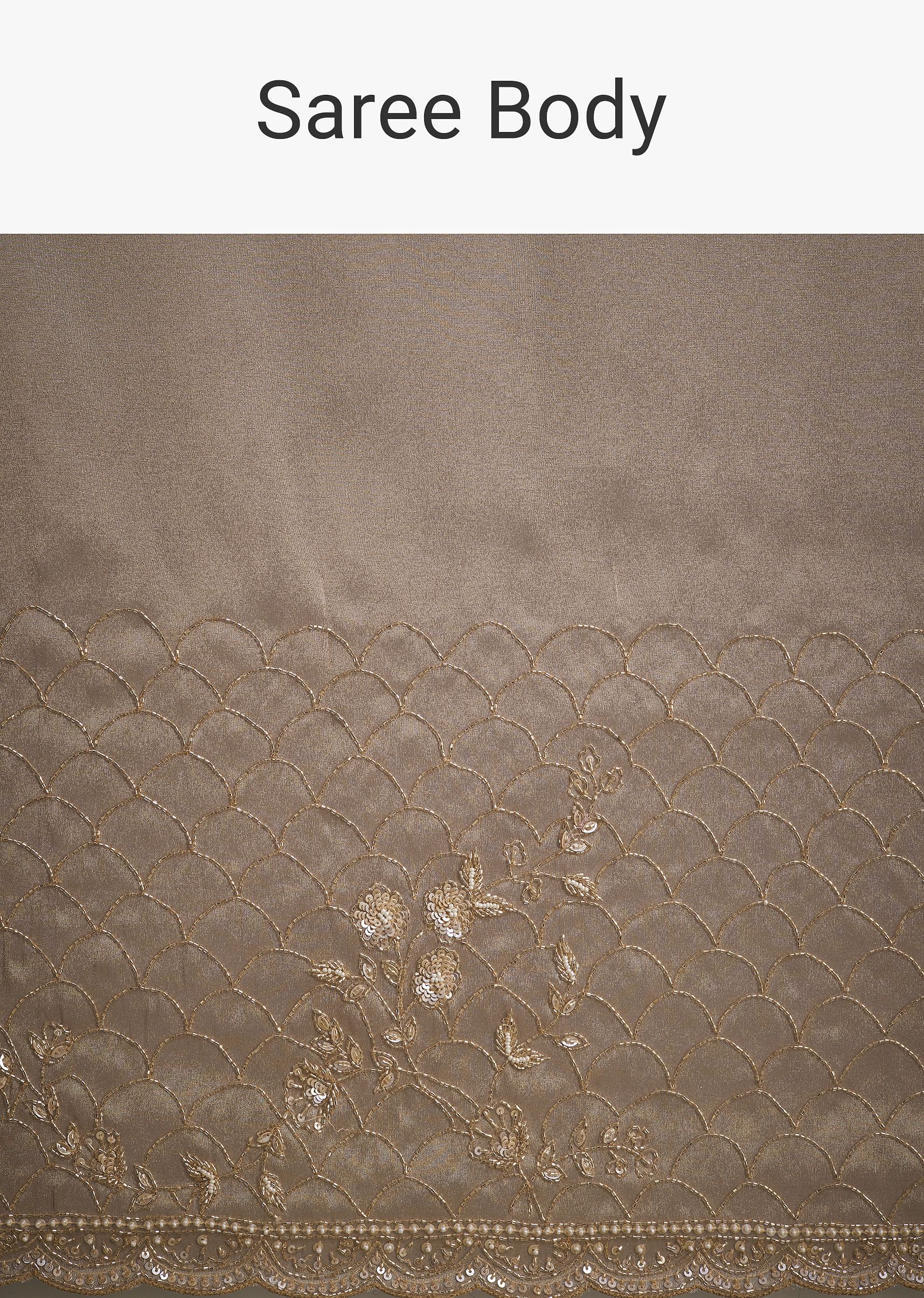 beige_tissue_saree_with_cutdana_and-sg272375_11_914afd0d-ddd7-4688-8f1c-2777b1496b81.jpg