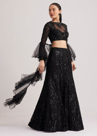 black_sequins_lehenga_set_with_ruffled_dupatta-sg271129_6_537bda22-503a-4fde-8709-28c02d2cf82b.jpg