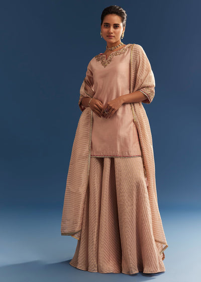 blush-pink-chanderi-kurta-palazzo-set-with-organza-dupatta-sg305313-1_5c651b2c-9890-47cd-969f-db3c5b388634.jpg
