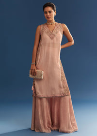blush-pink-organza-palazzo-set-with-embroidered-kurta-sg305302-1_278e5319-2a9e-42e7-8a6c-da618796467c.jpg