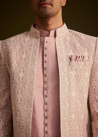 blush_pink_embroidered_indo_western_set-sg264095_4_b4a3c8ce-319e-4d83-86fb-cf7a41d5b3cd.jpg