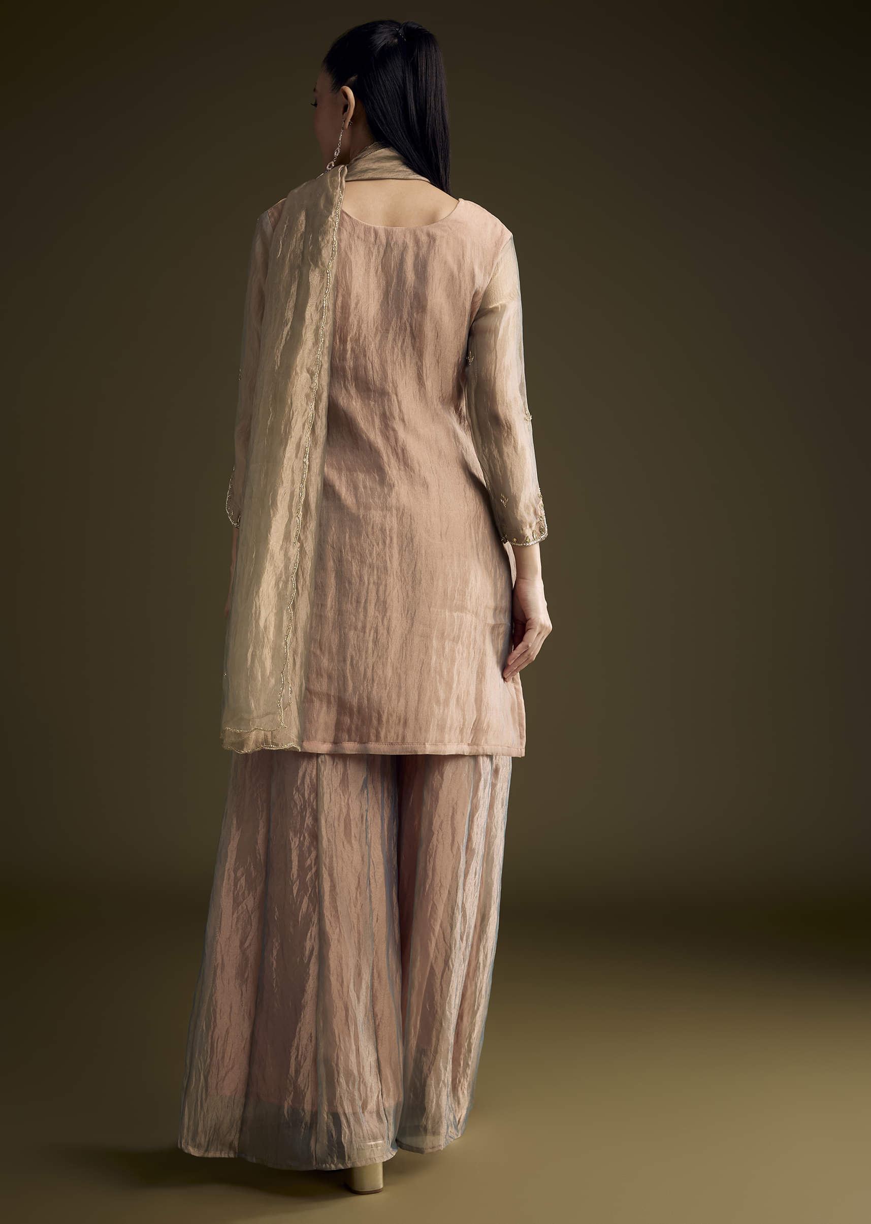 brown-tissue-palazzo-suit-with-sequins-and-cutdana-embroidery-sg354178-5.jpg