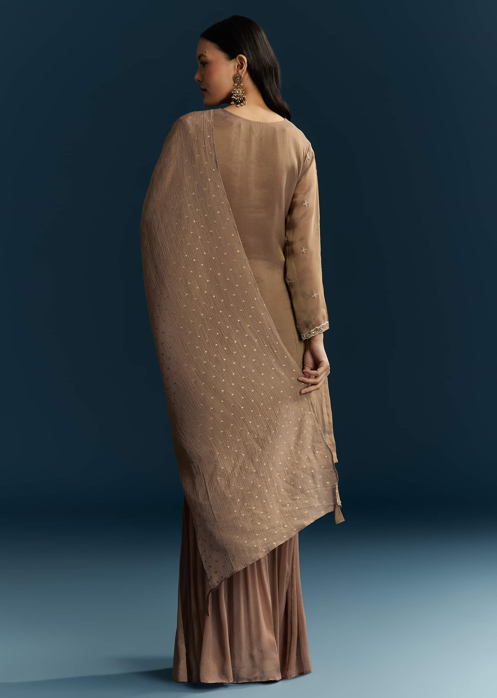 brown-tissue-sharara-suit-with-zardosi-and-thread-work-sg347223-5.jpg