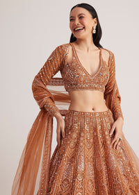 brown_embellished_lehenga_set_with_detailed_embroidery-sg286013_4_16970471-7aac-40c0-905d-b713170970f7.jpg