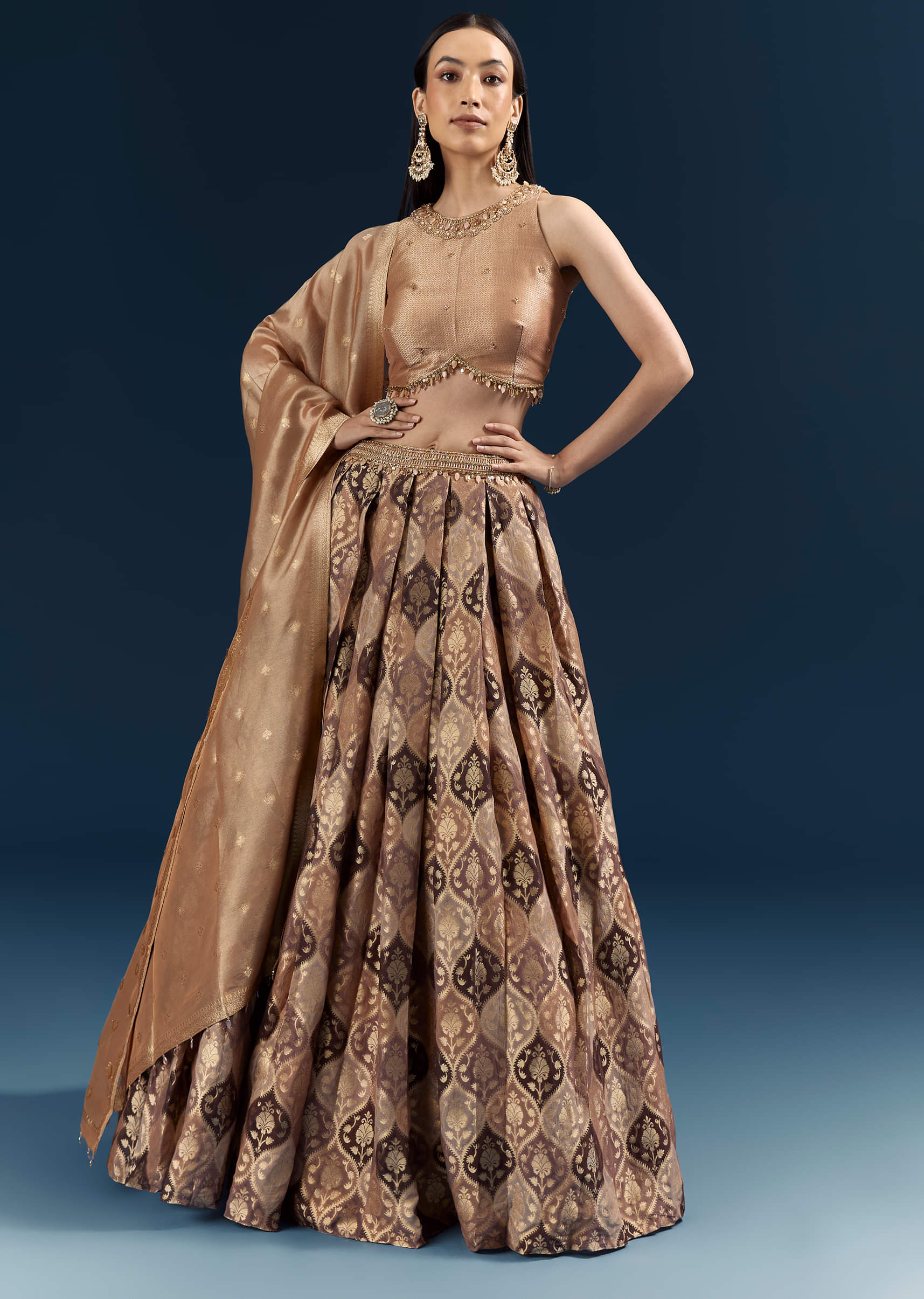 brown_tussar_bridesmaid_lehenga_with_heavy-sg342072-6_3.jpg