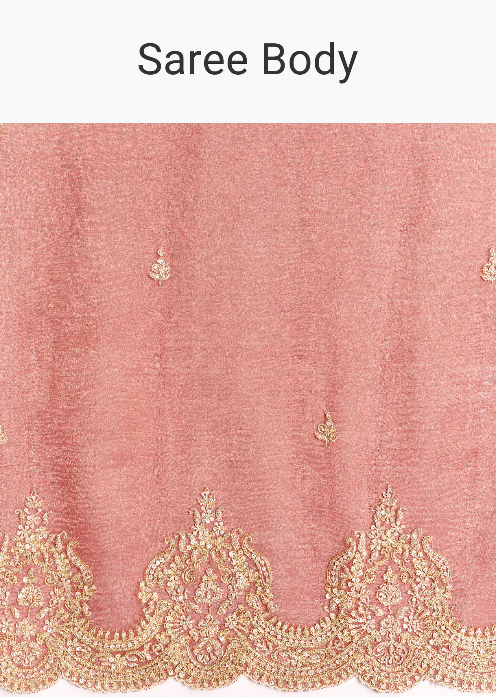 brownish-mauve-crush-tissue-saree-with-heavy-border-and-blouse-sg319792-9_81243d05-361e-4d3c-8c1c-961d854929b8.jpg