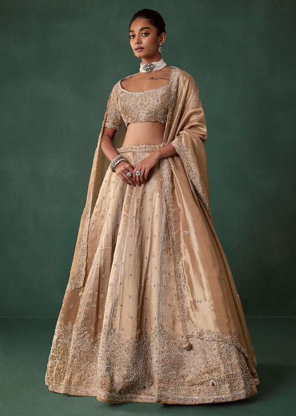 Champagne Silk Cutdana Embroidered Bridal Lehenga Set