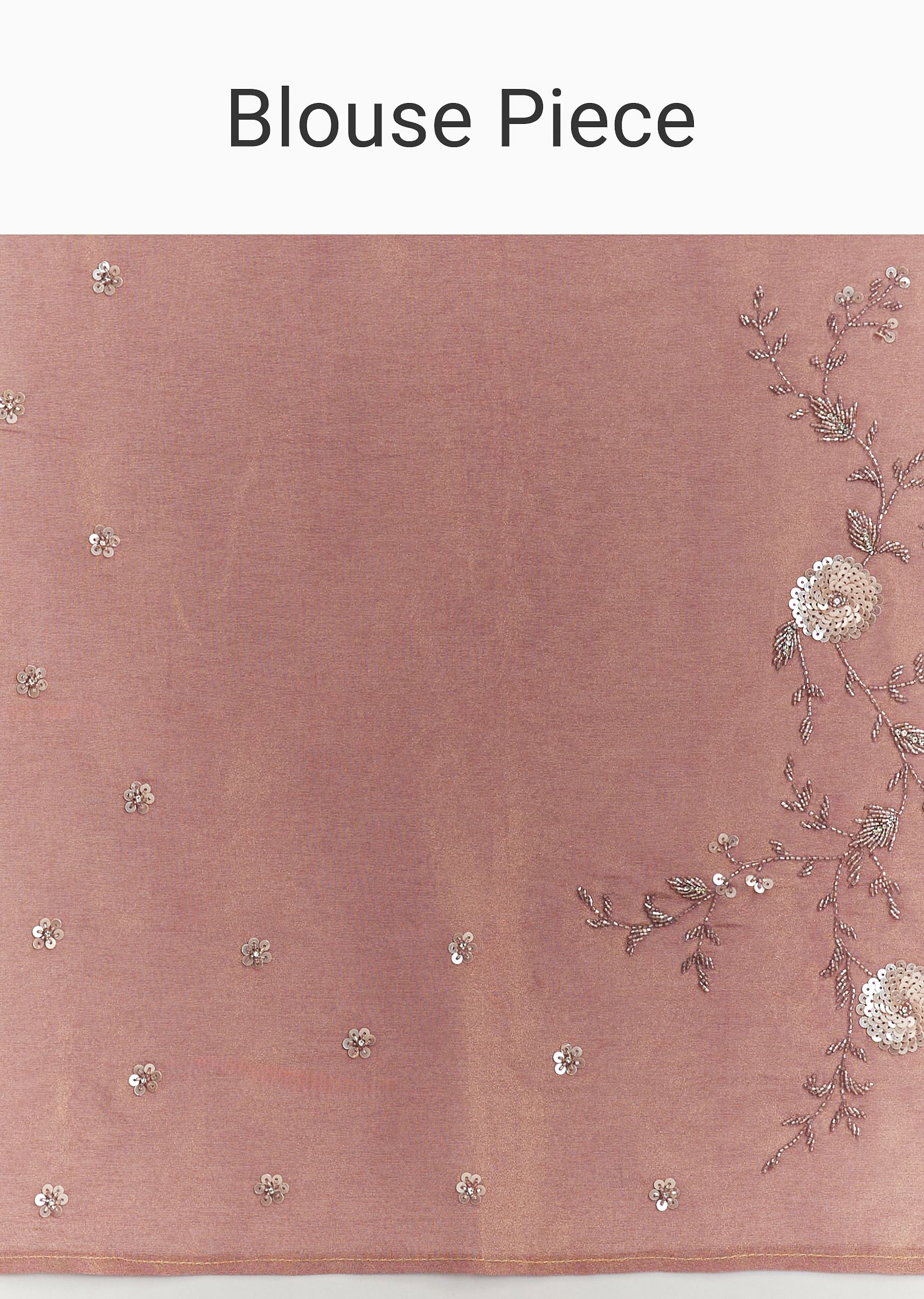 dusty-rose-tissue-saree-with-floral-embroidered-scallop-bord-sg299424-10_80f9cae8-cab2-4fa8-b877-10de91adfa6d.jpg