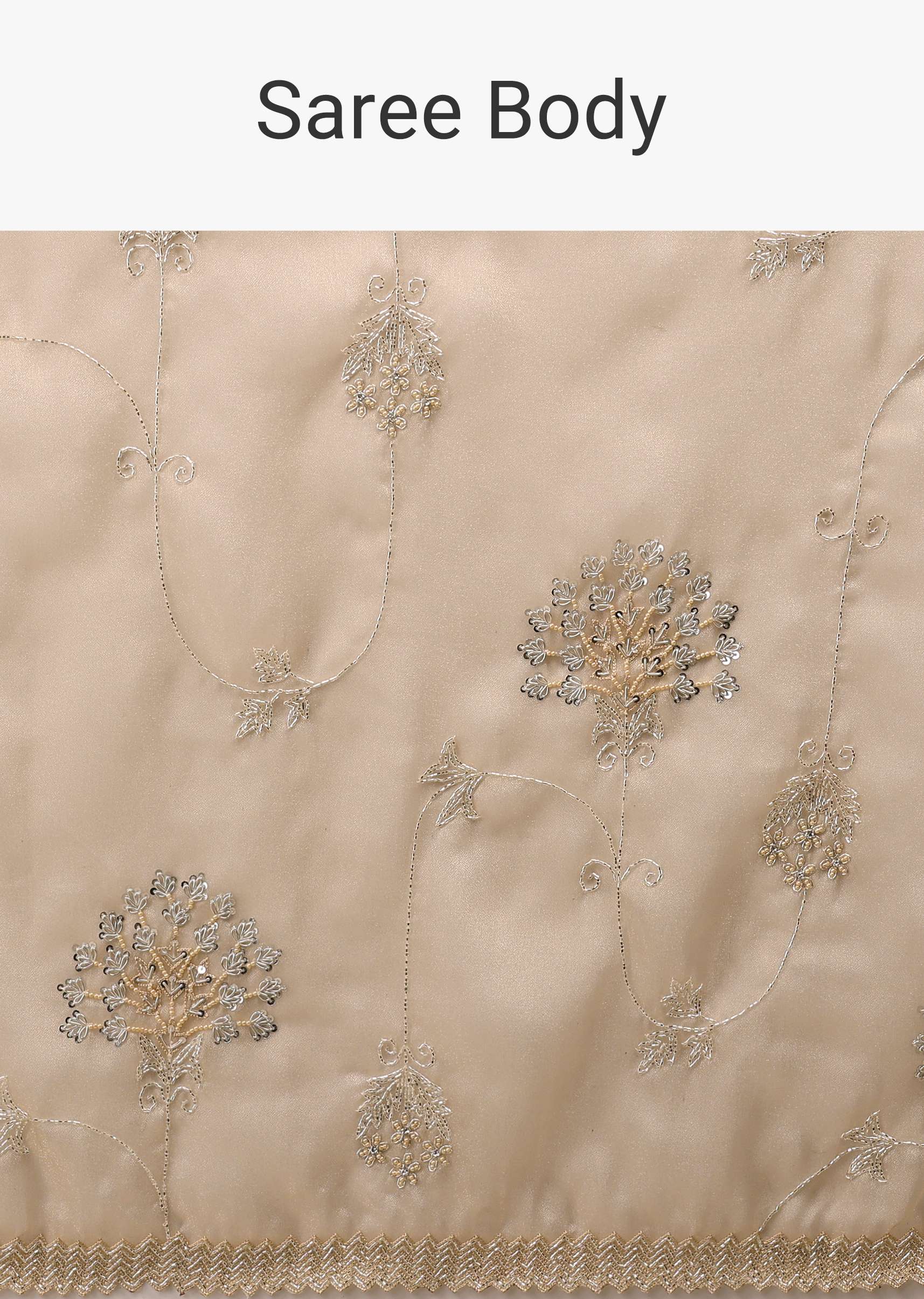 frosted_almond_tissue_saree_in_zardozi_embroidery-k0911231y-sg97398_1_2cb44cba-f374-42c7-935b-d987de5e4350.jpg